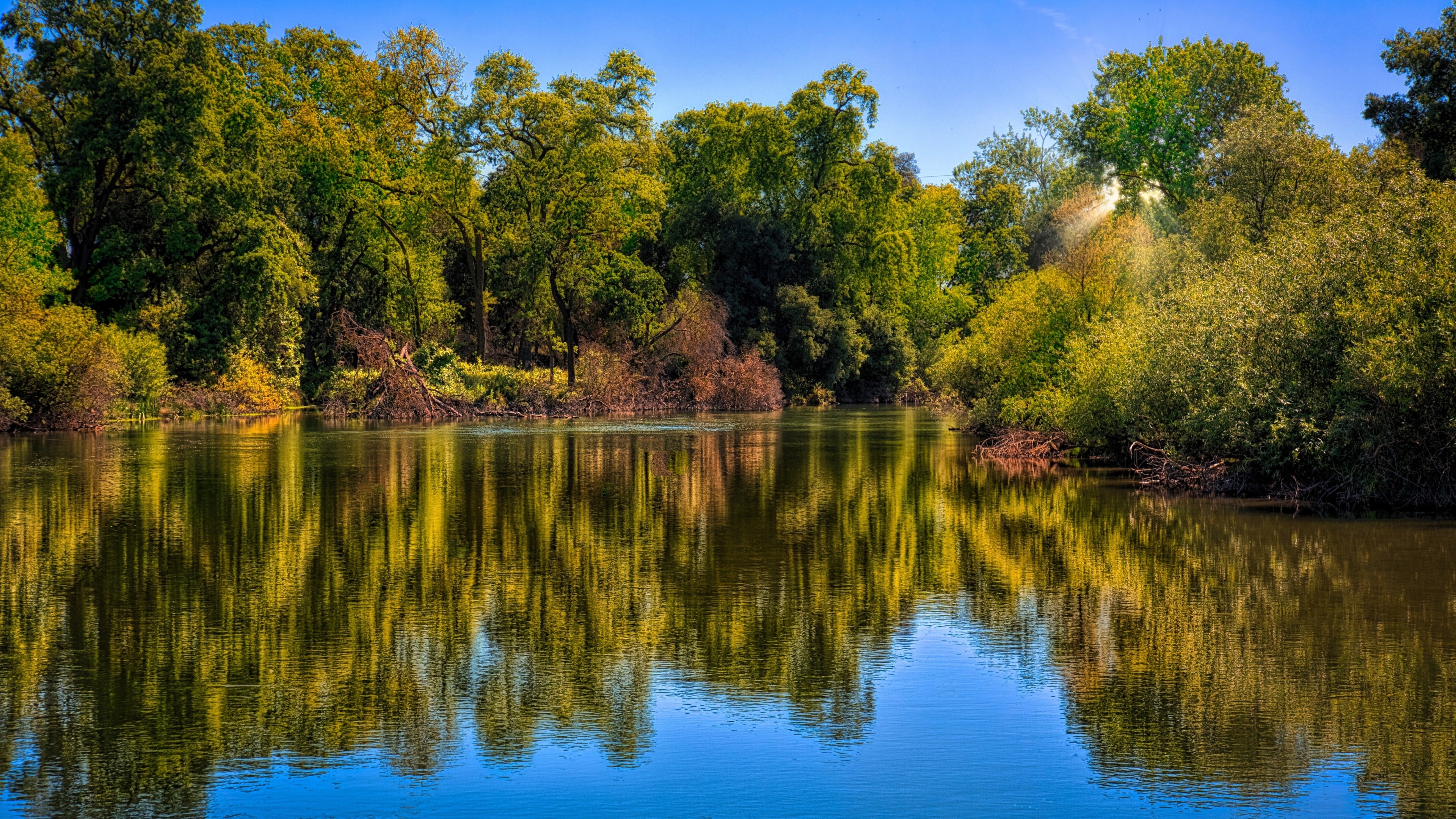 4K Reflection of Trees on Water HD Wallpaper