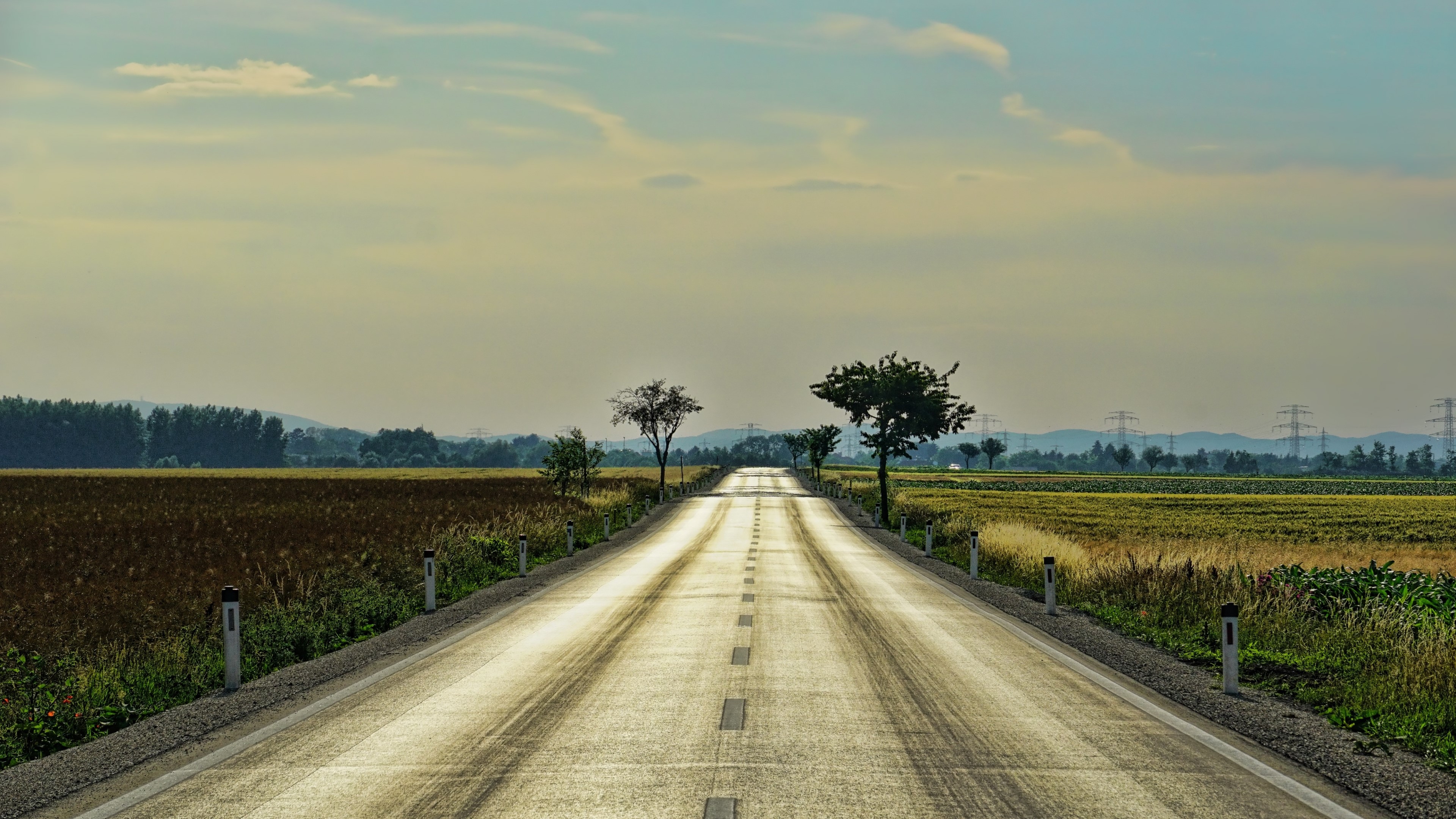 4K Road Through Fields HD Wallpaper
