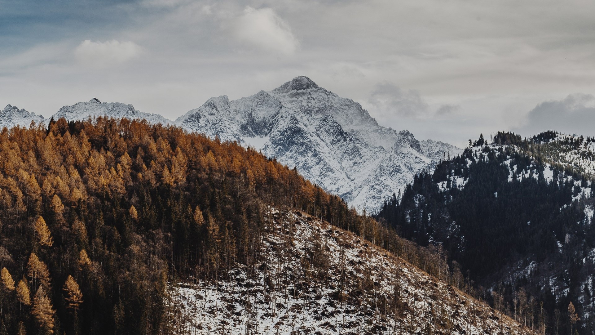 Snow-capped mountains and autumn forest in Slovakia HD Wallpaper