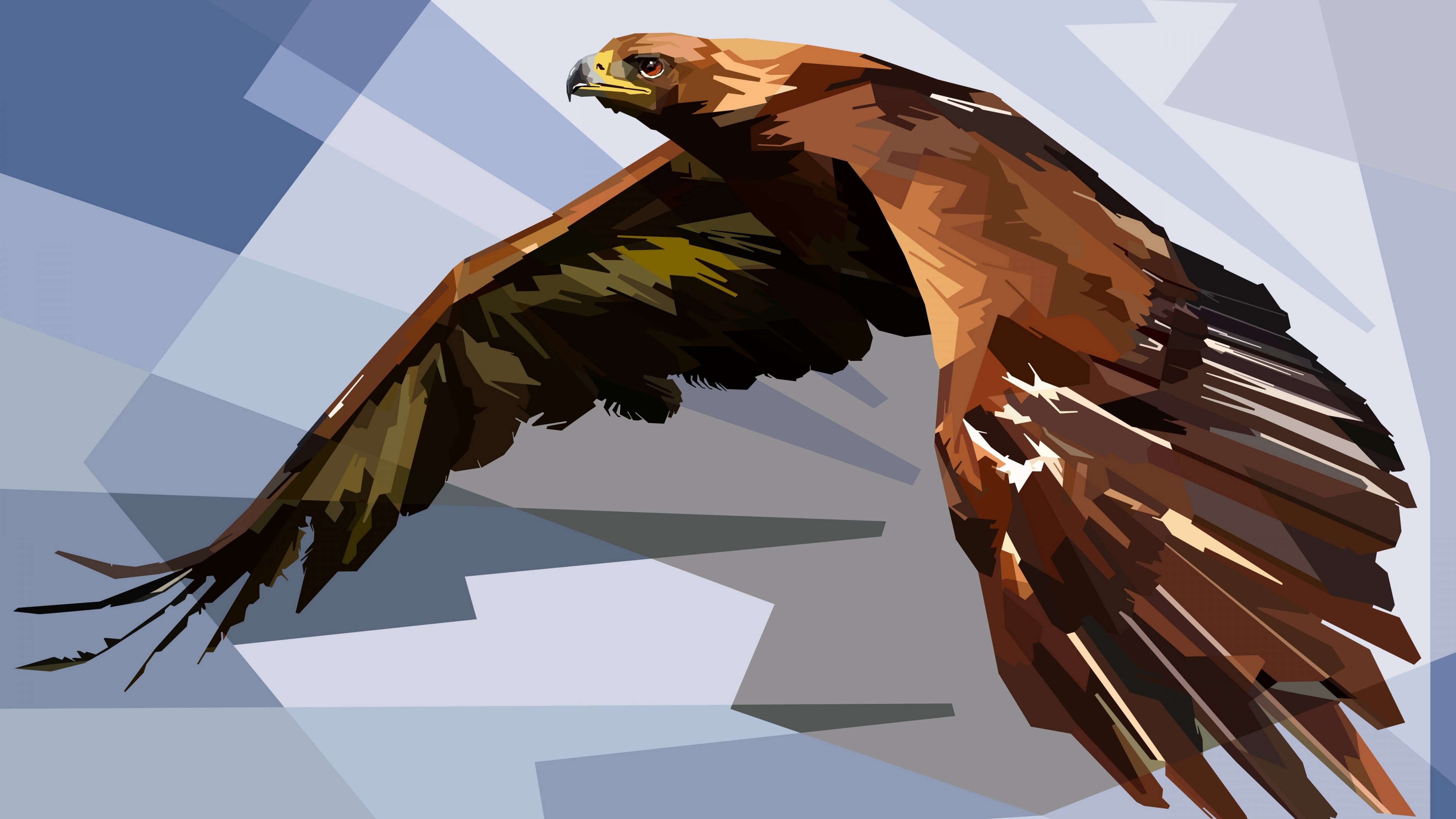 4K Eagle in Flight HD Wallpaper