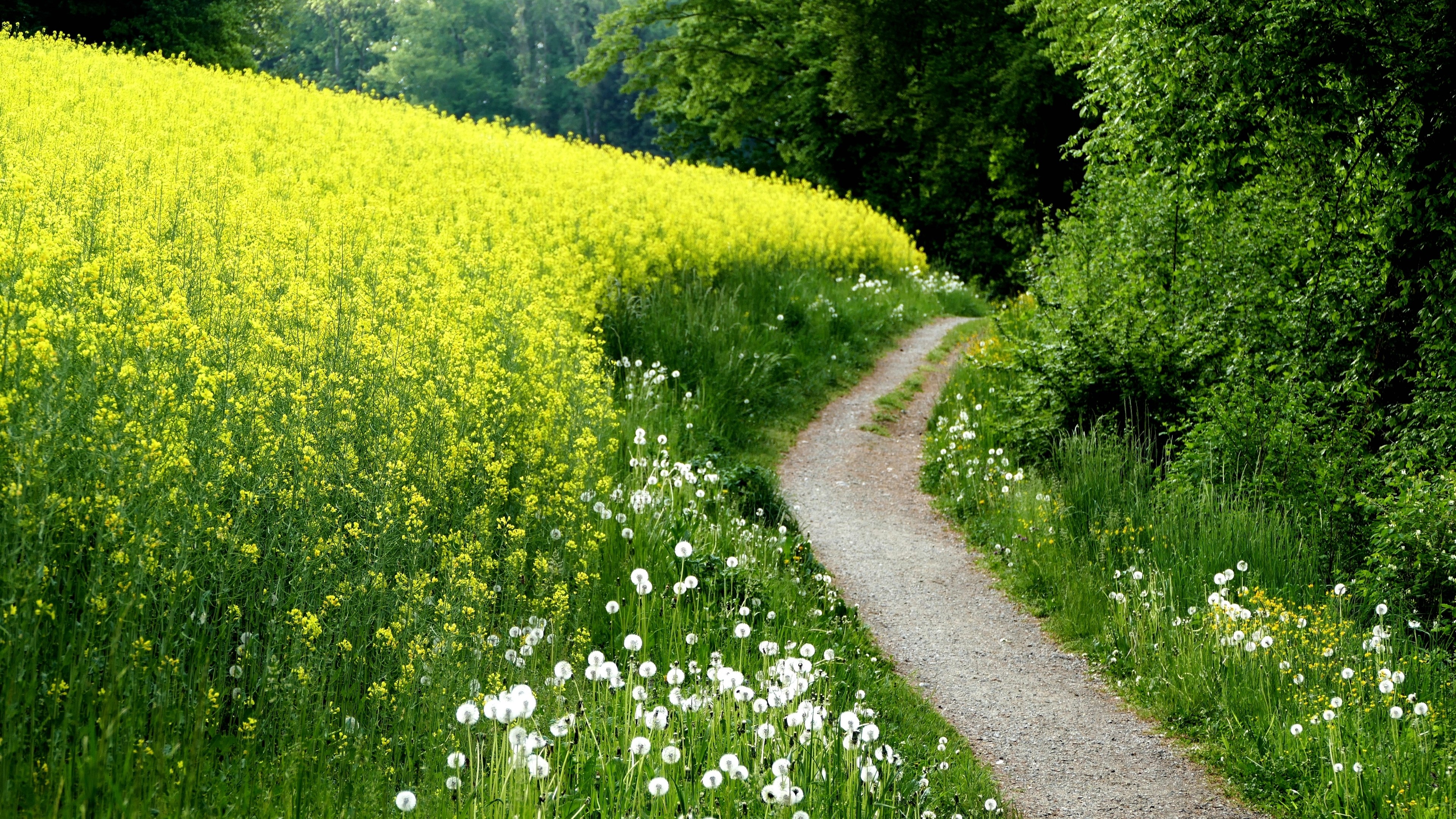 4K Nature Landscape HD Wallpaper