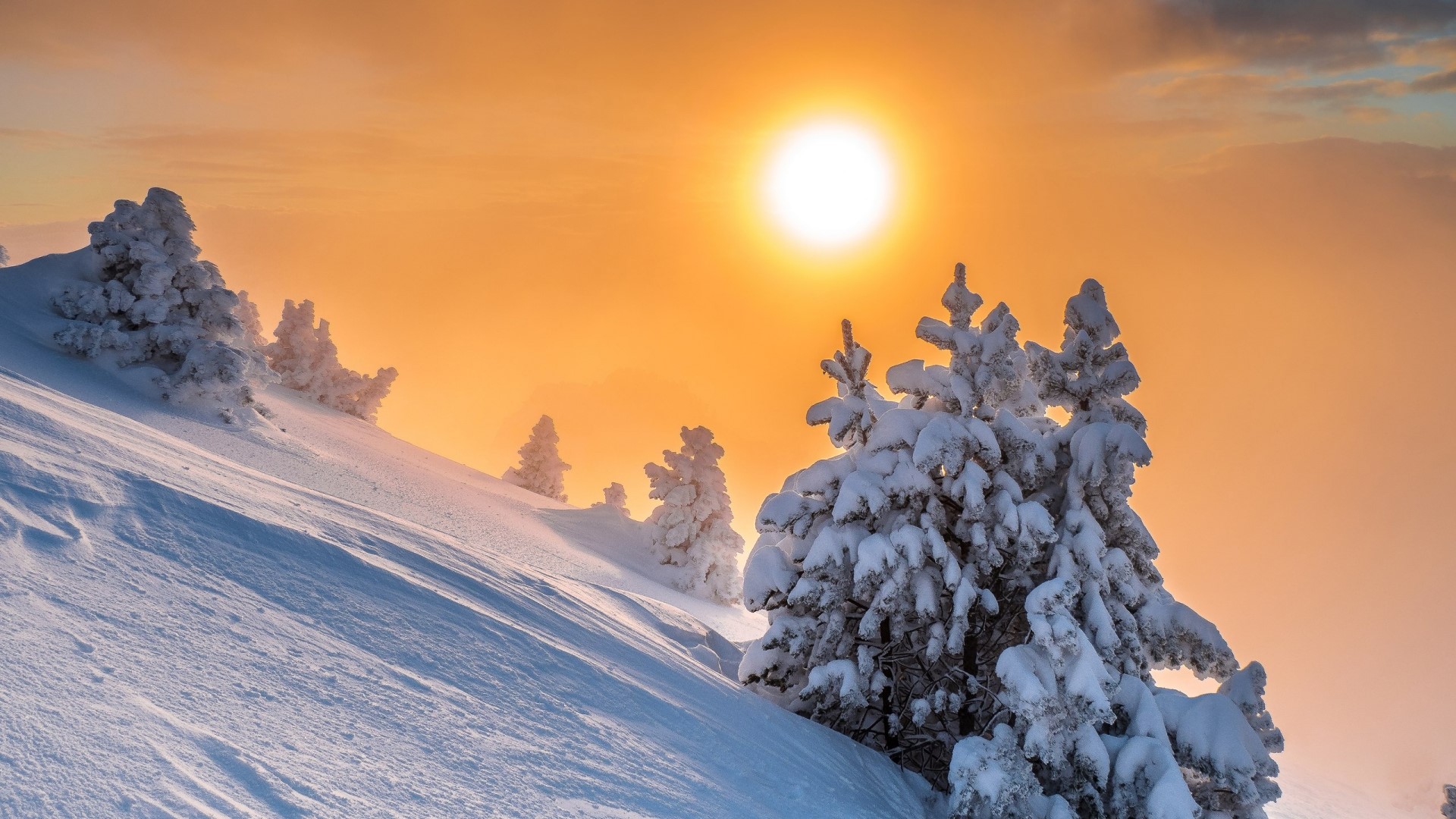 Winter sunrise over snowy mountain with trees HD Wallpaper