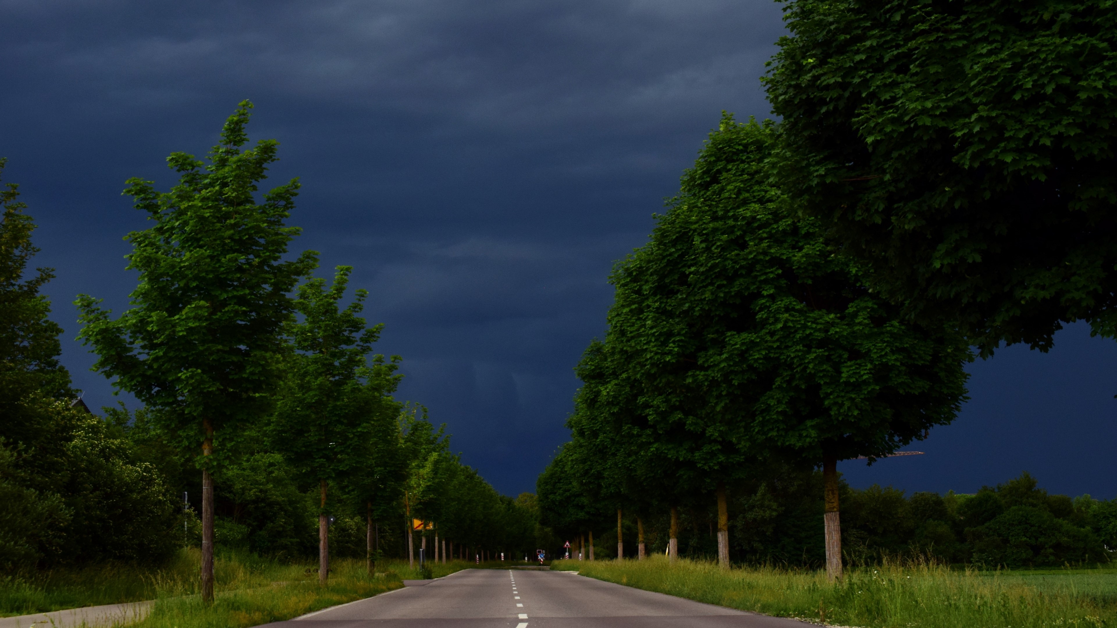 Road lined with trees under stormy sky HD Wallpaper