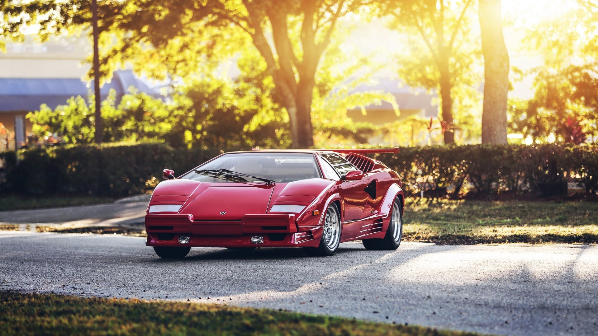 Red Lamborghini Countach parked on asphalt HD Wallpaper