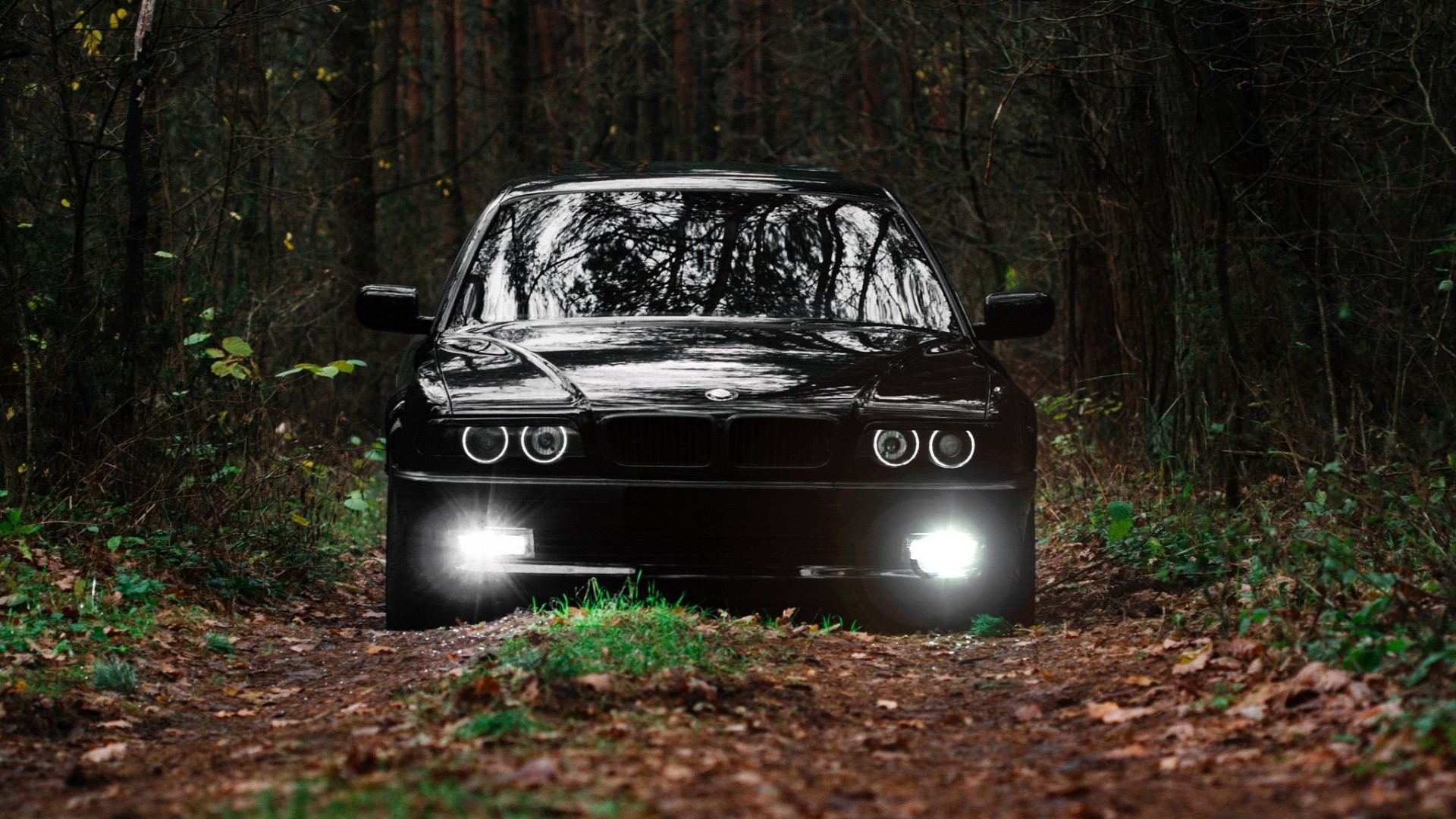 Black BMW 7 Series in a Forest HD Wallpaper