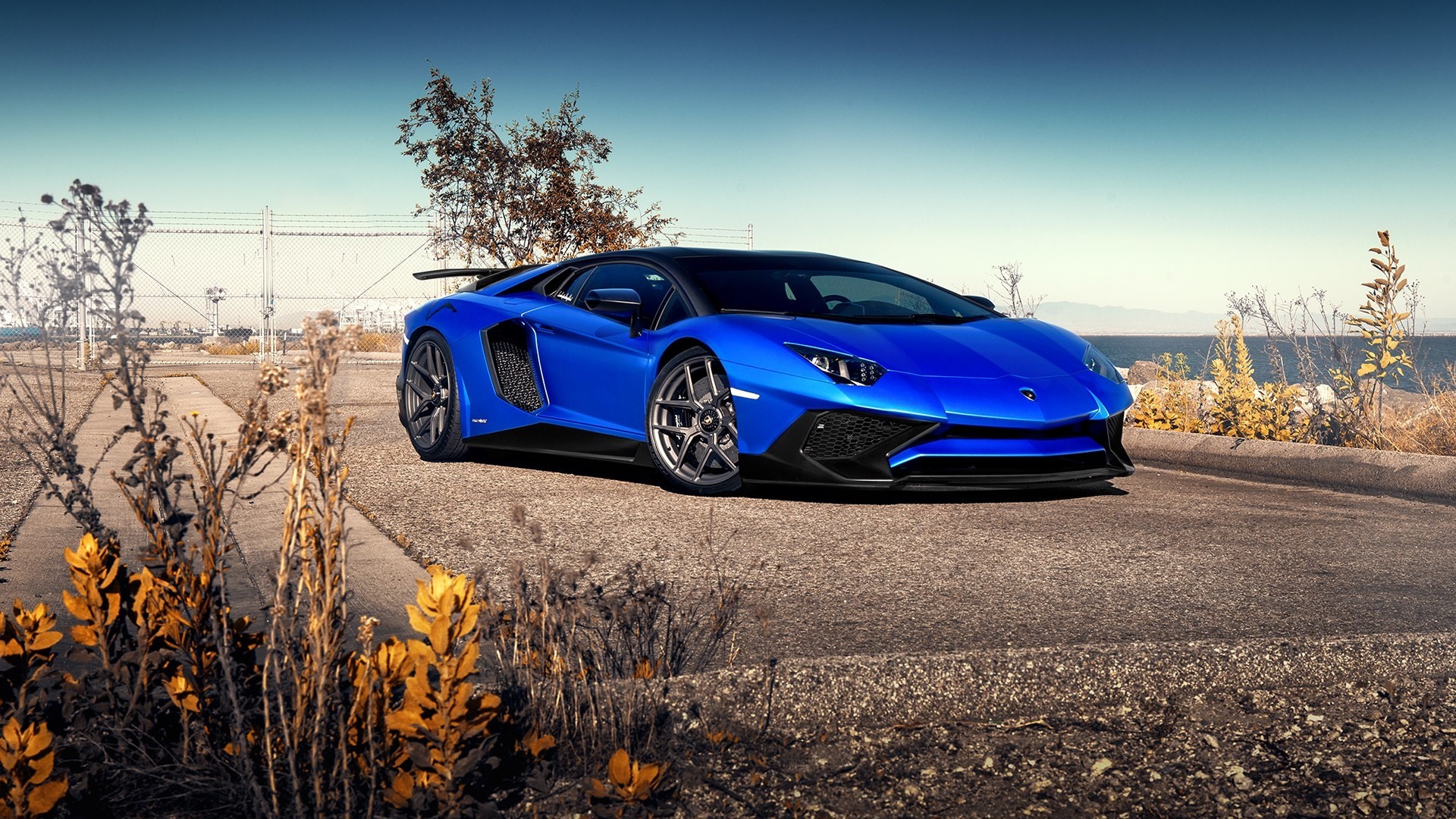 Blue Lamborghini Aventador SuperVeloce on Road HD Wallpaper