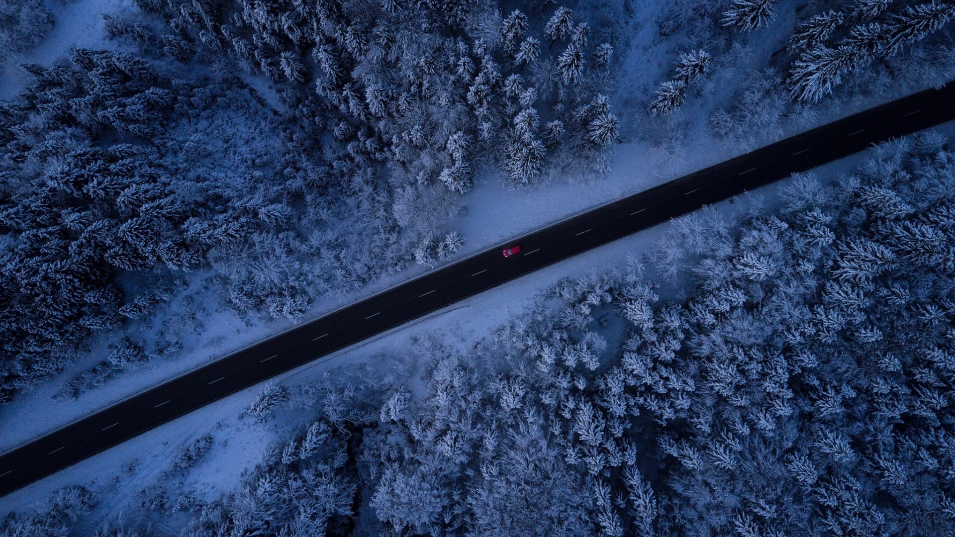 Red car driving on a snowy road through a forest HD Wallpaper