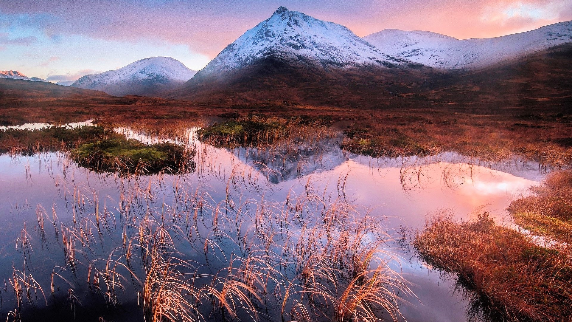 Snow-capped mountains reflected in a calm lake with reeds HD Wallpaper