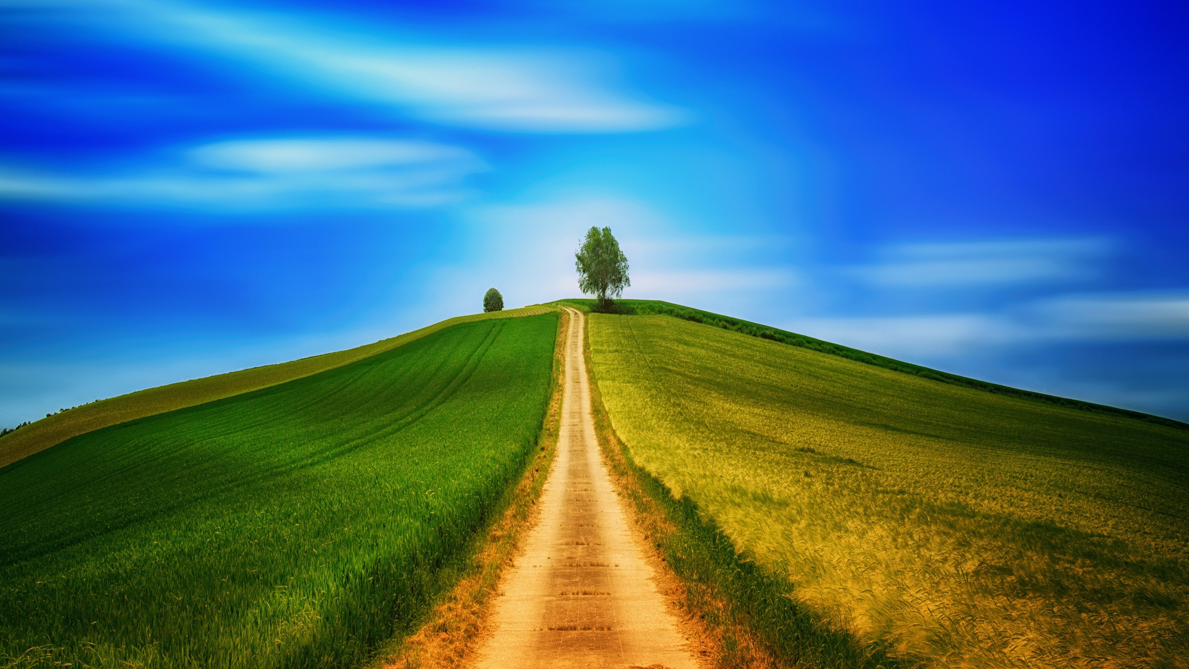 4K Nature Landscape with Dirt Road and Trees HD Wallpaper