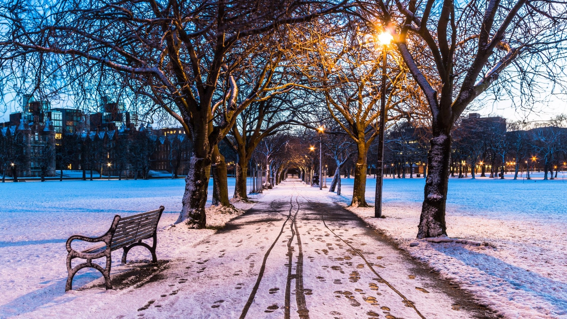 Snowy park path with trees and buildings in Edinburgh HD Wallpaper