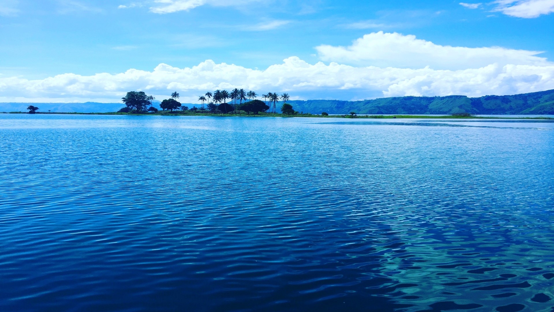 Island with palm trees on a lake HD Wallpaper