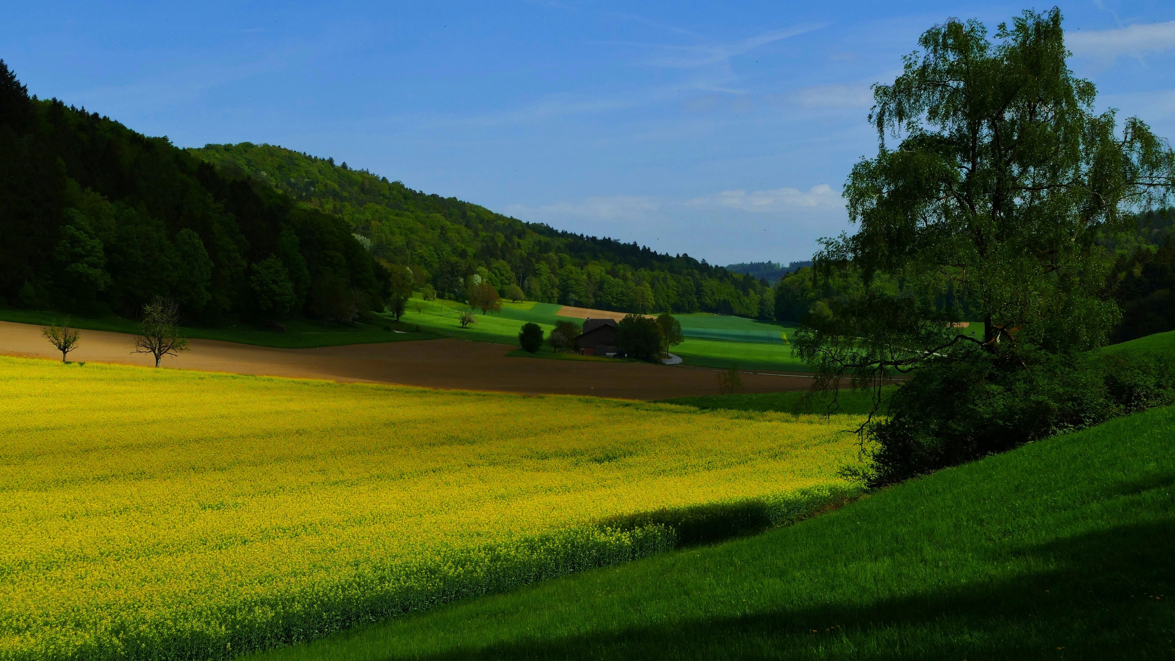 4K Nature Landscape HD Wallpaper