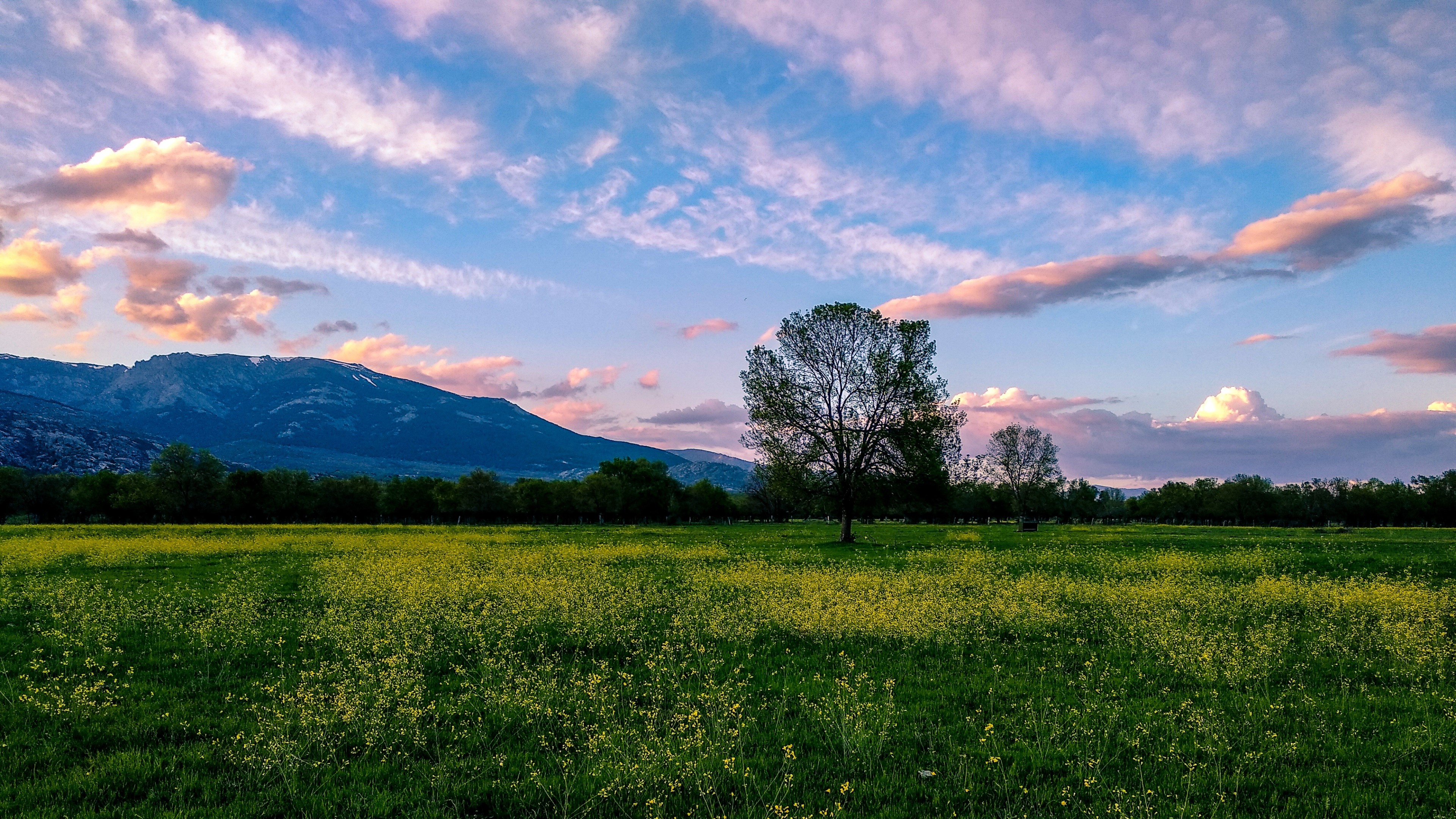4K Nature Landscape with Mountains and Field HD Wallpaper