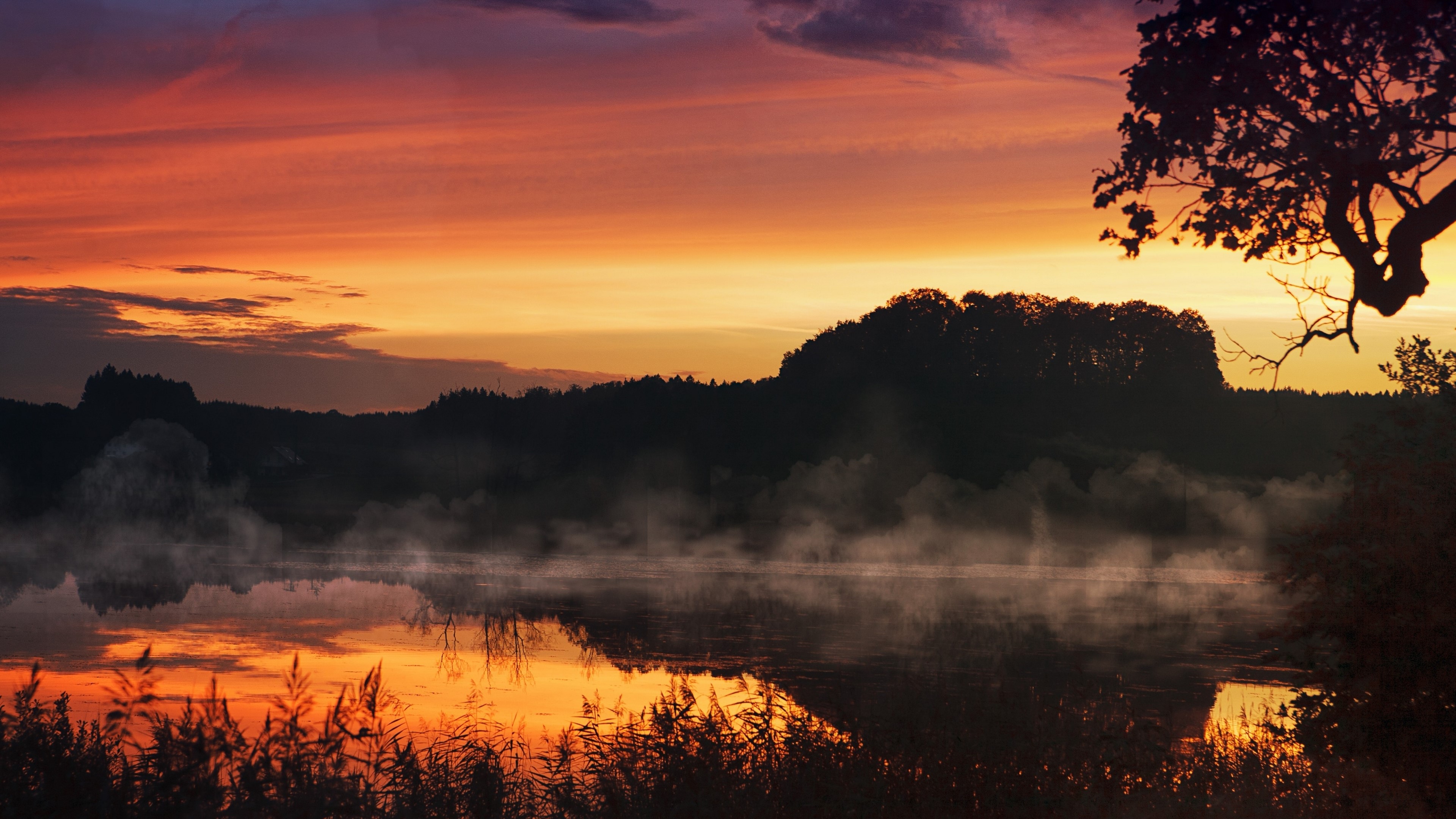 4K Morning Mist Over Lake at Sunrise HD Wallpaper