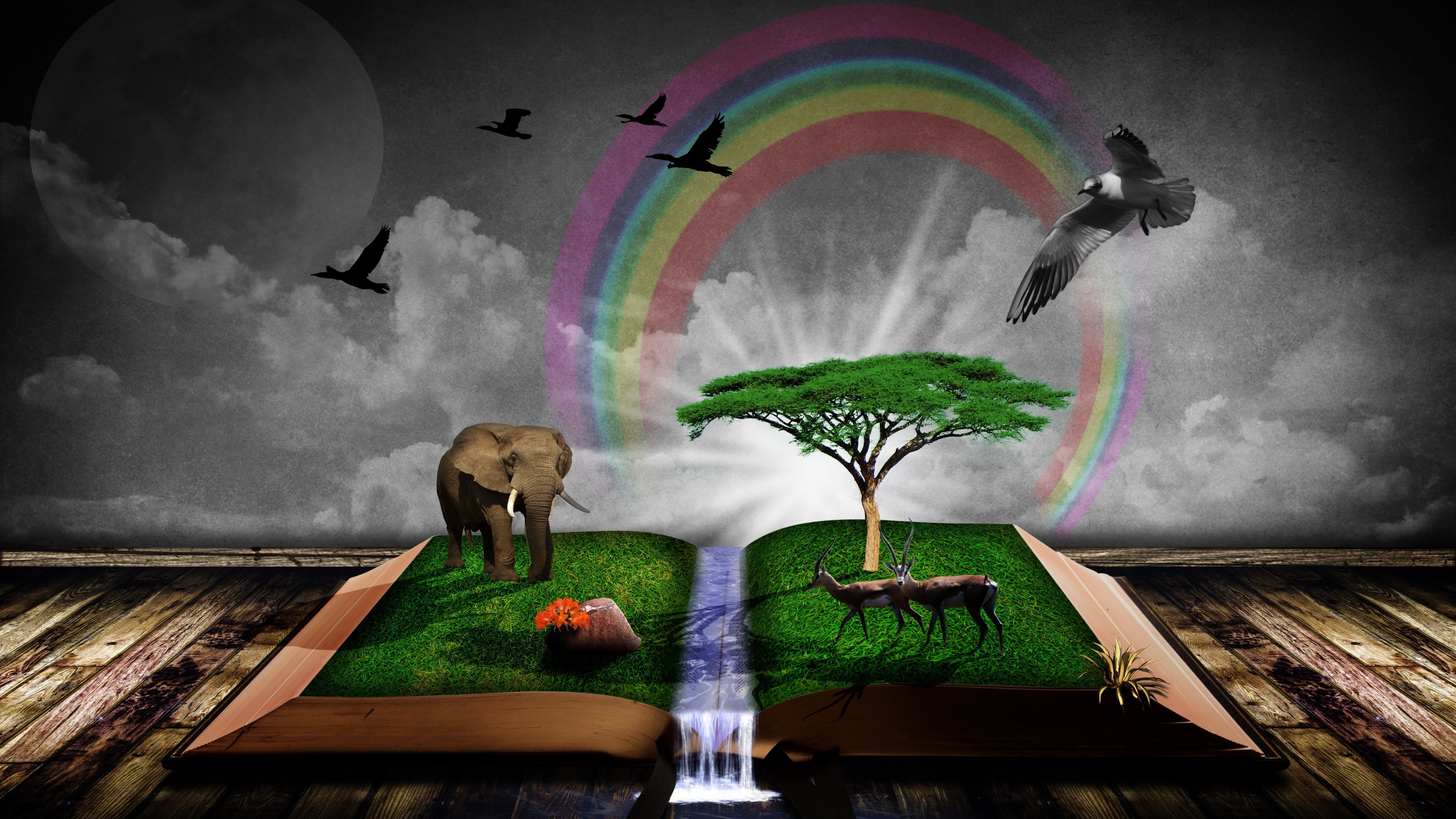 Book of nature HD Wallpaper