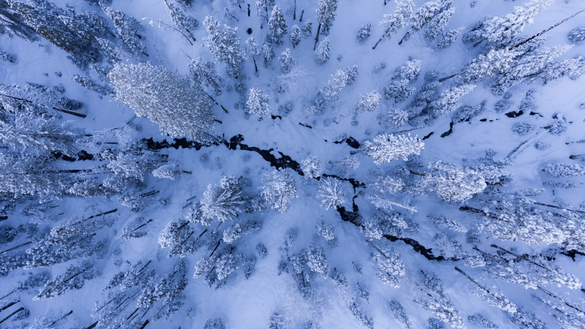 Top view of a snow-covered forest with a stream HD Wallpaper