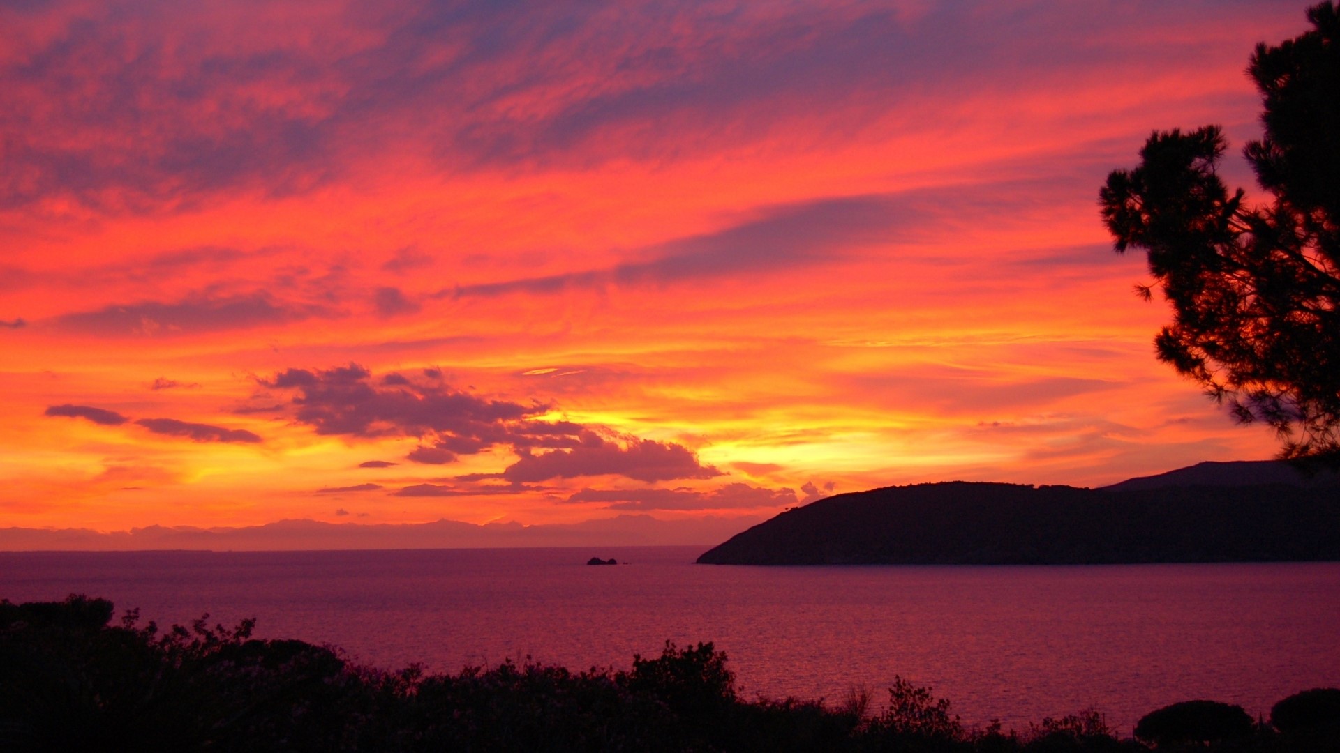Sunset over the ocean with silhouetted trees and hills HD Wallpaper