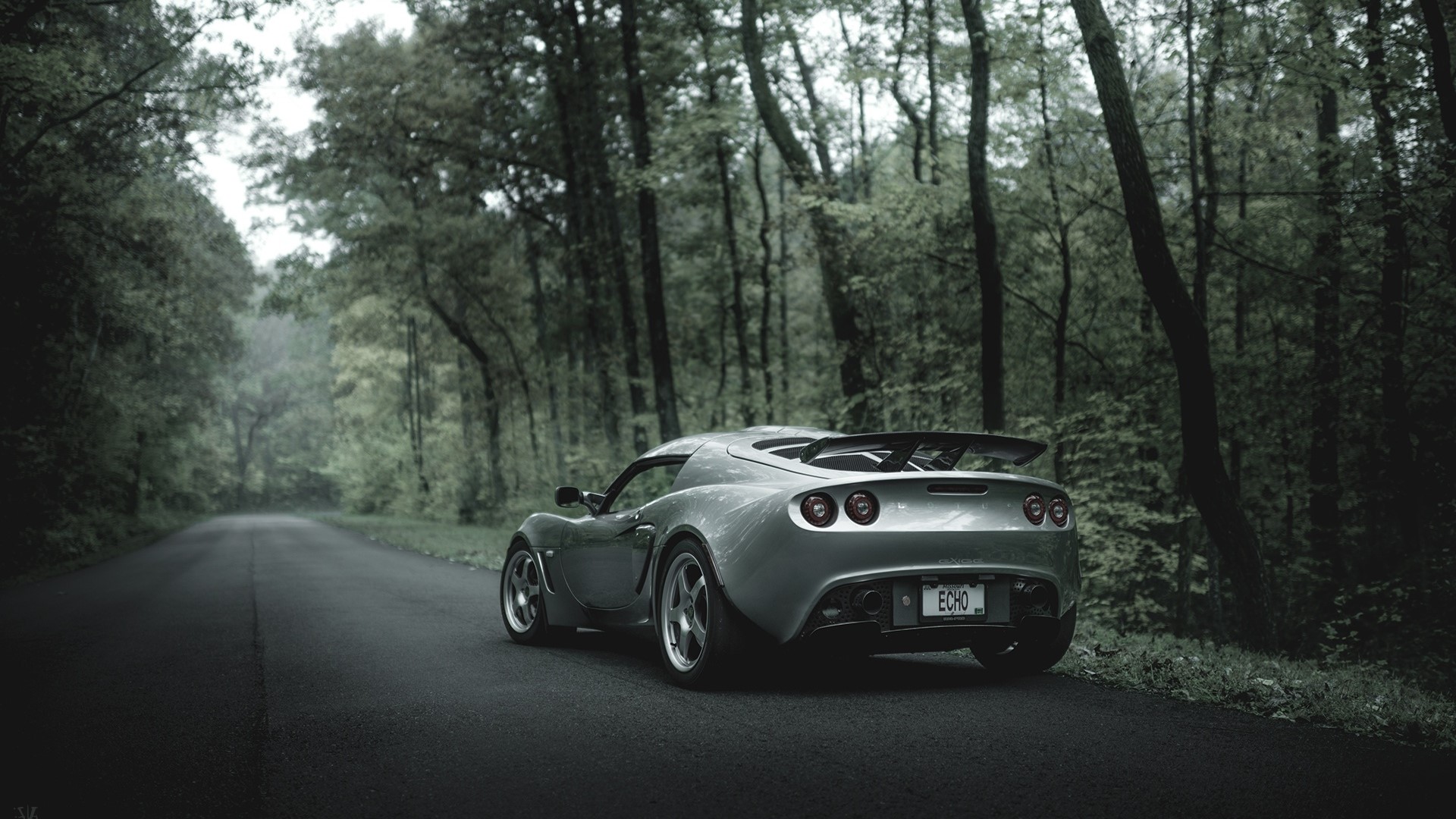 Lotus Exige on a Forest Road HD Wallpaper