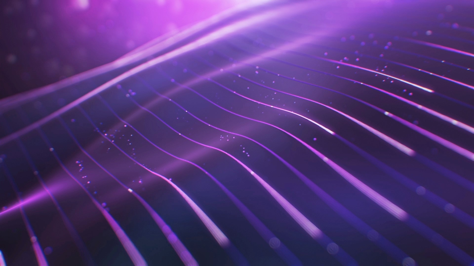 Abstract Purple Wavy Lines with Particles HD Wallpaper