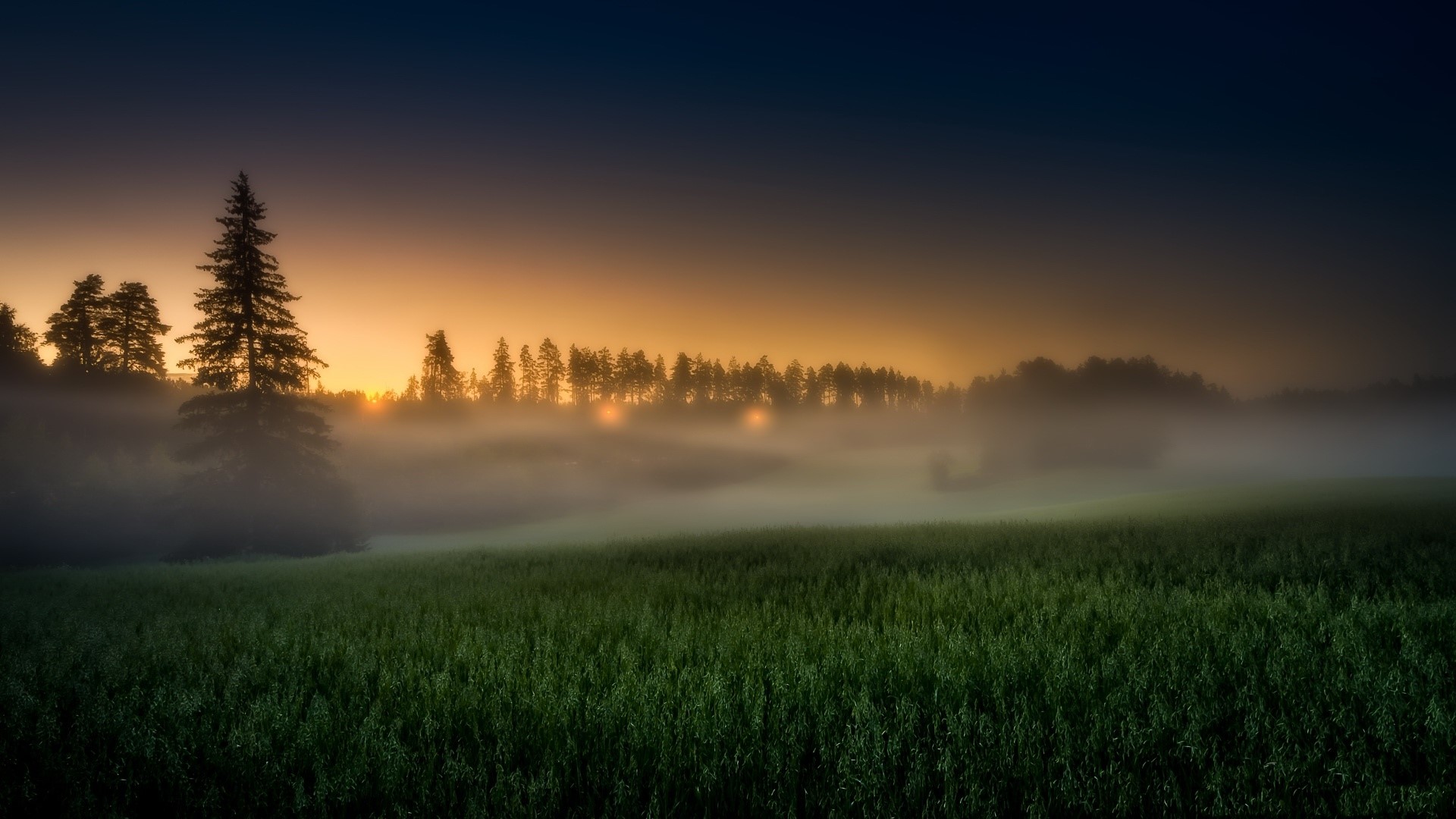 Misty morning landscape with trees and field HD Wallpaper
