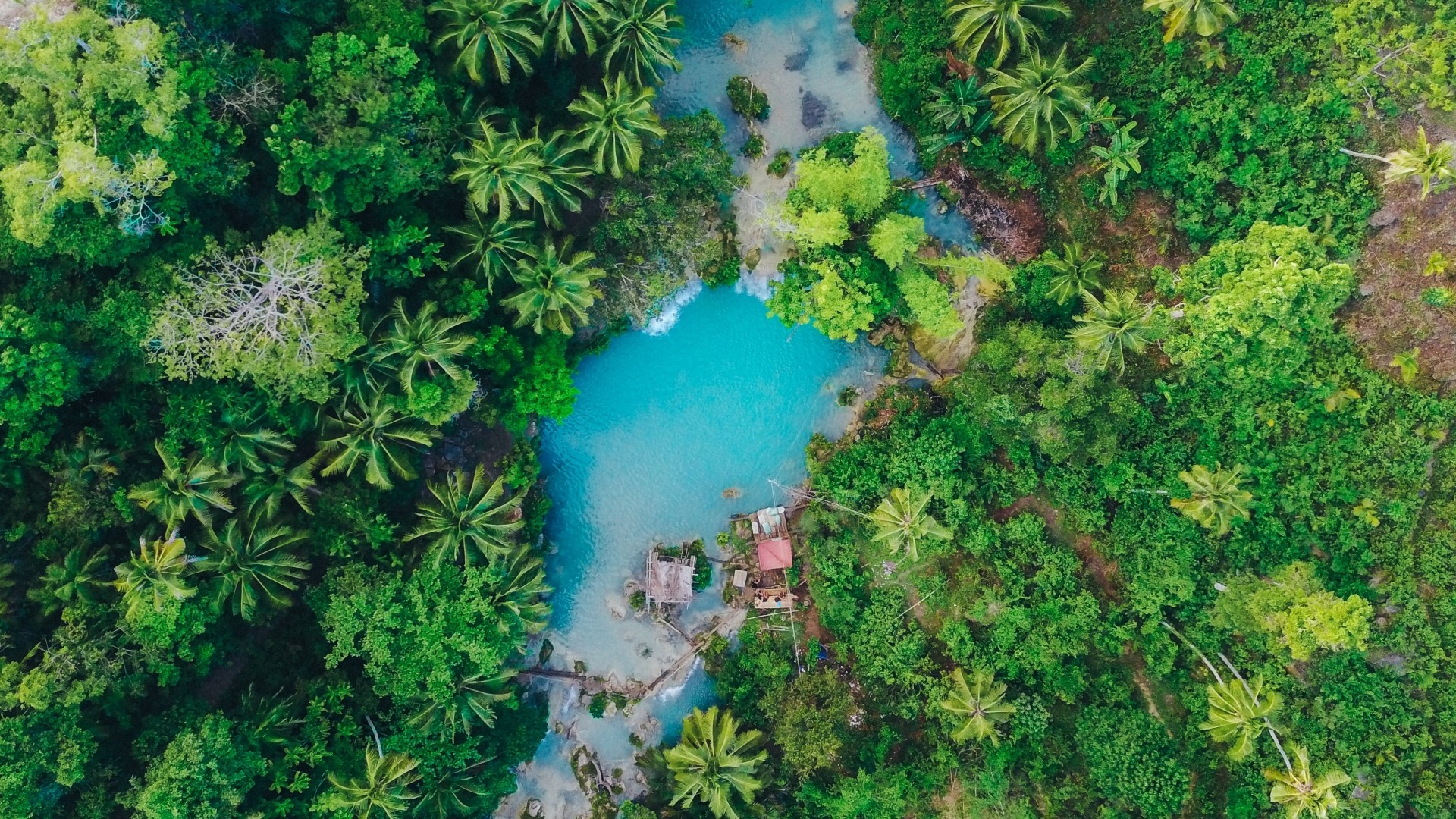 Aerial view of a turquoise waterfall surrounded by lush green jungle HD Wallpaper