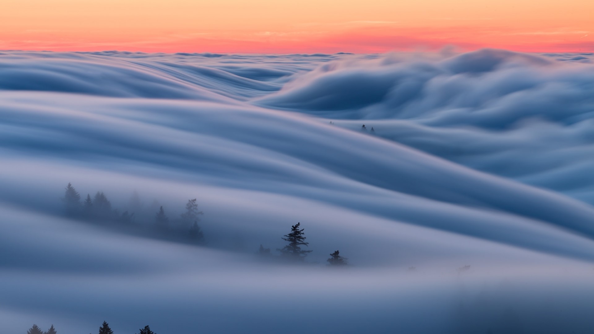 Fog rolling over hills at sunset HD Wallpaper
