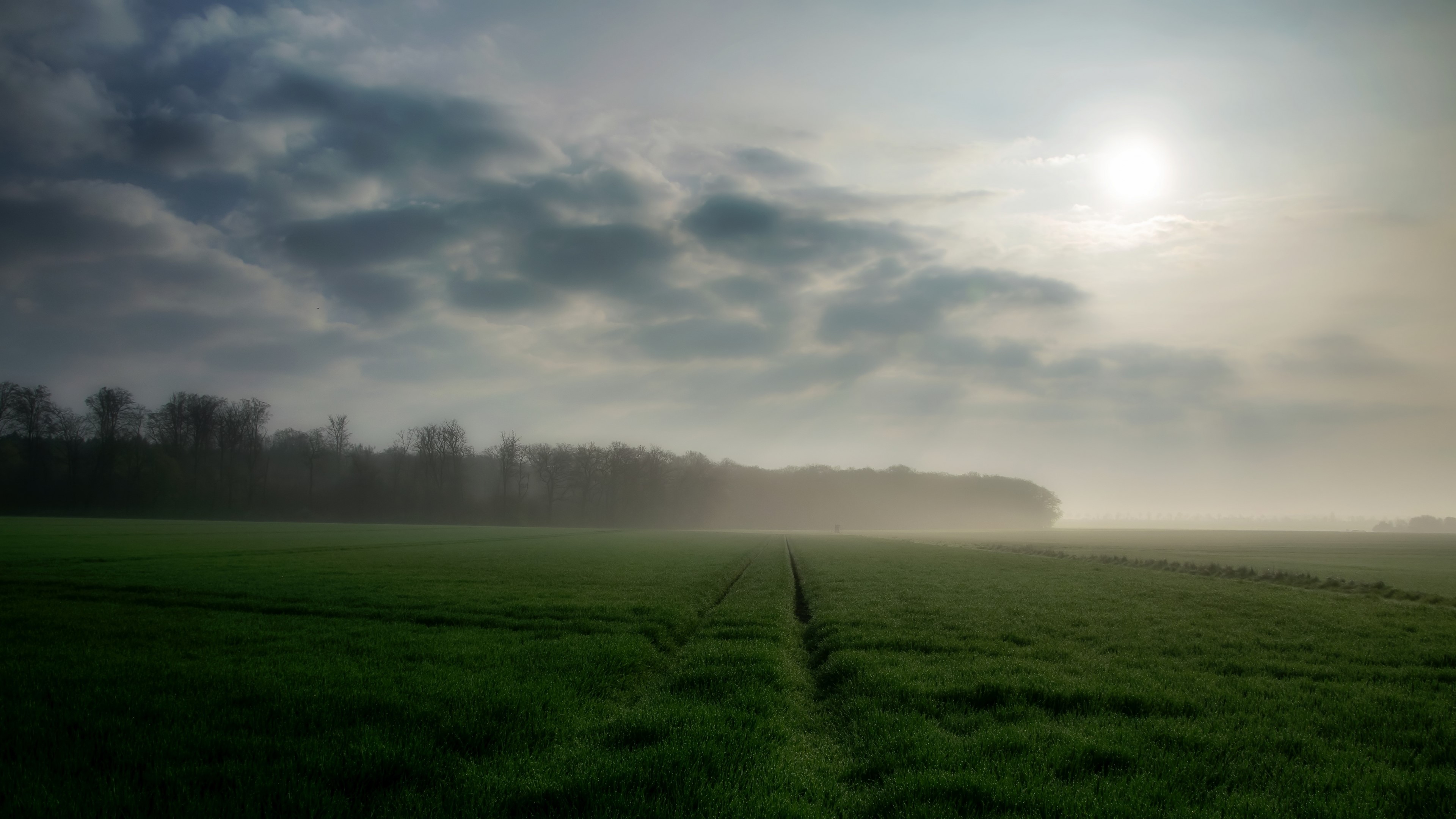 4K Morning Field with Trees and Sun HD Wallpaper