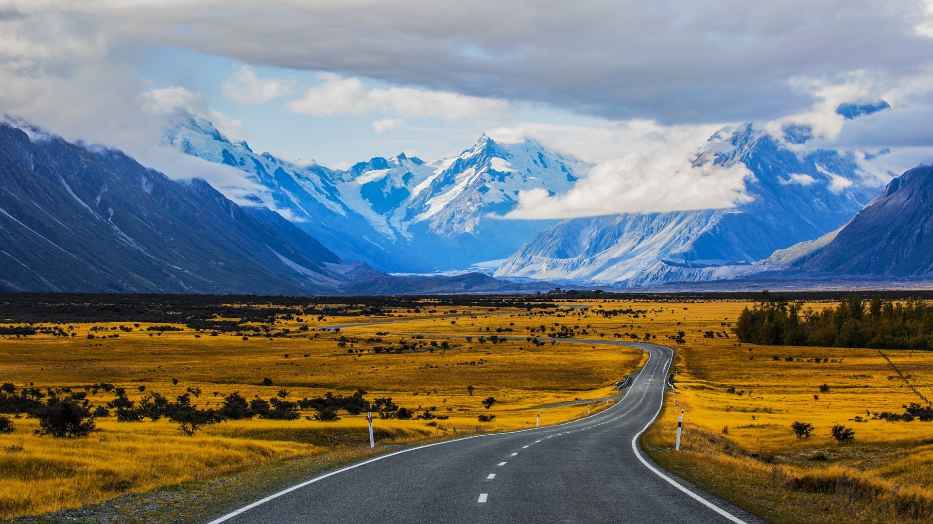 Road through golden field to snow-capped mountains HD Wallpaper