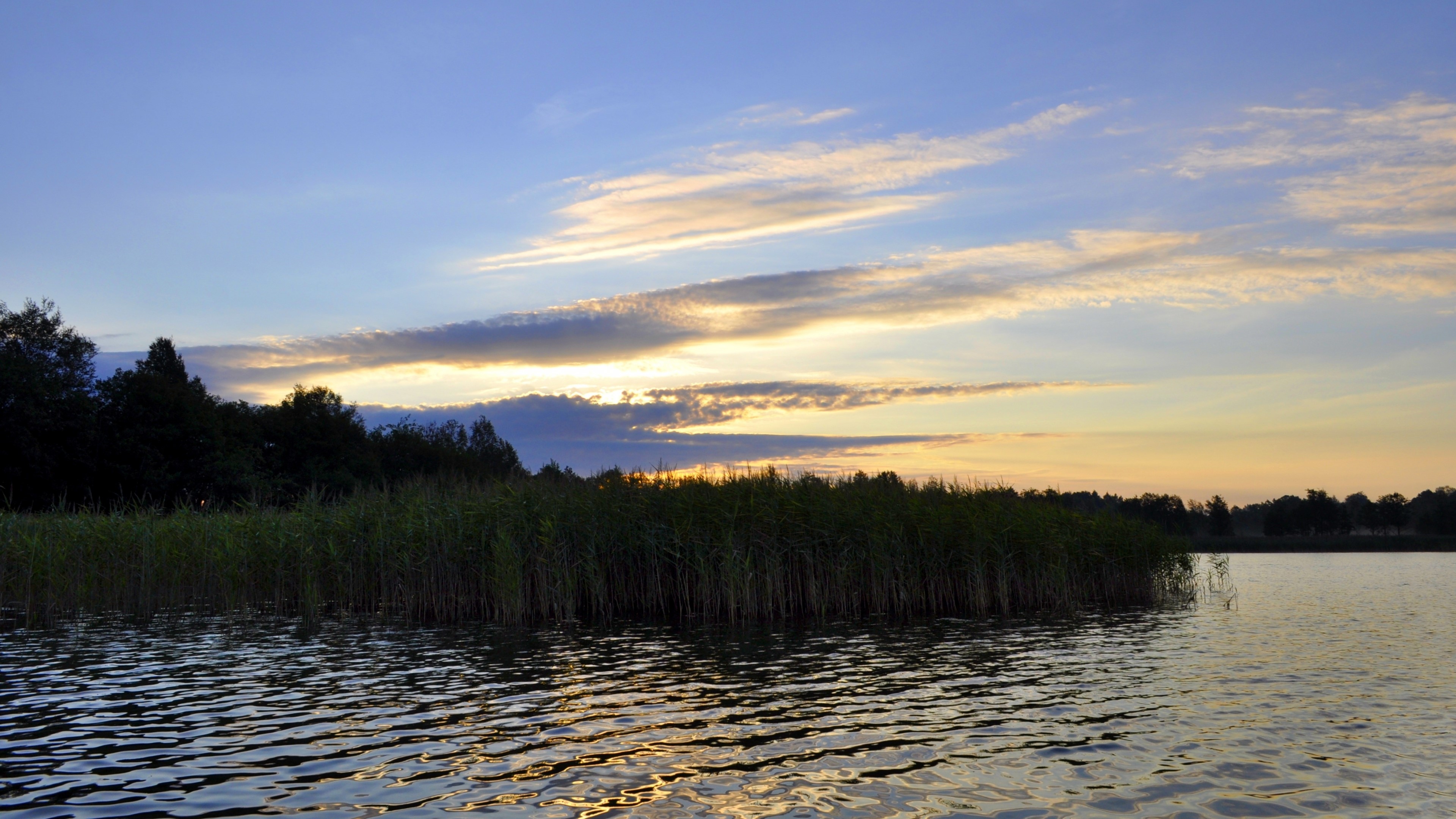 4K Nature Landscape with Reeds and Sunset Sky HD Wallpaper