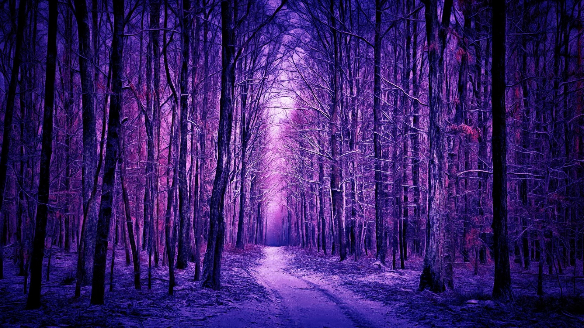Purple forest path with bare trees HD Wallpaper