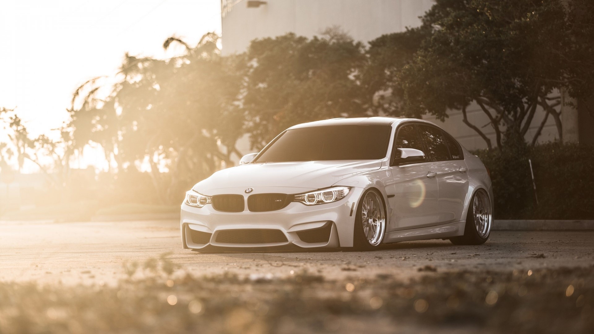 White BMW M3 Sedan HD Wallpaper