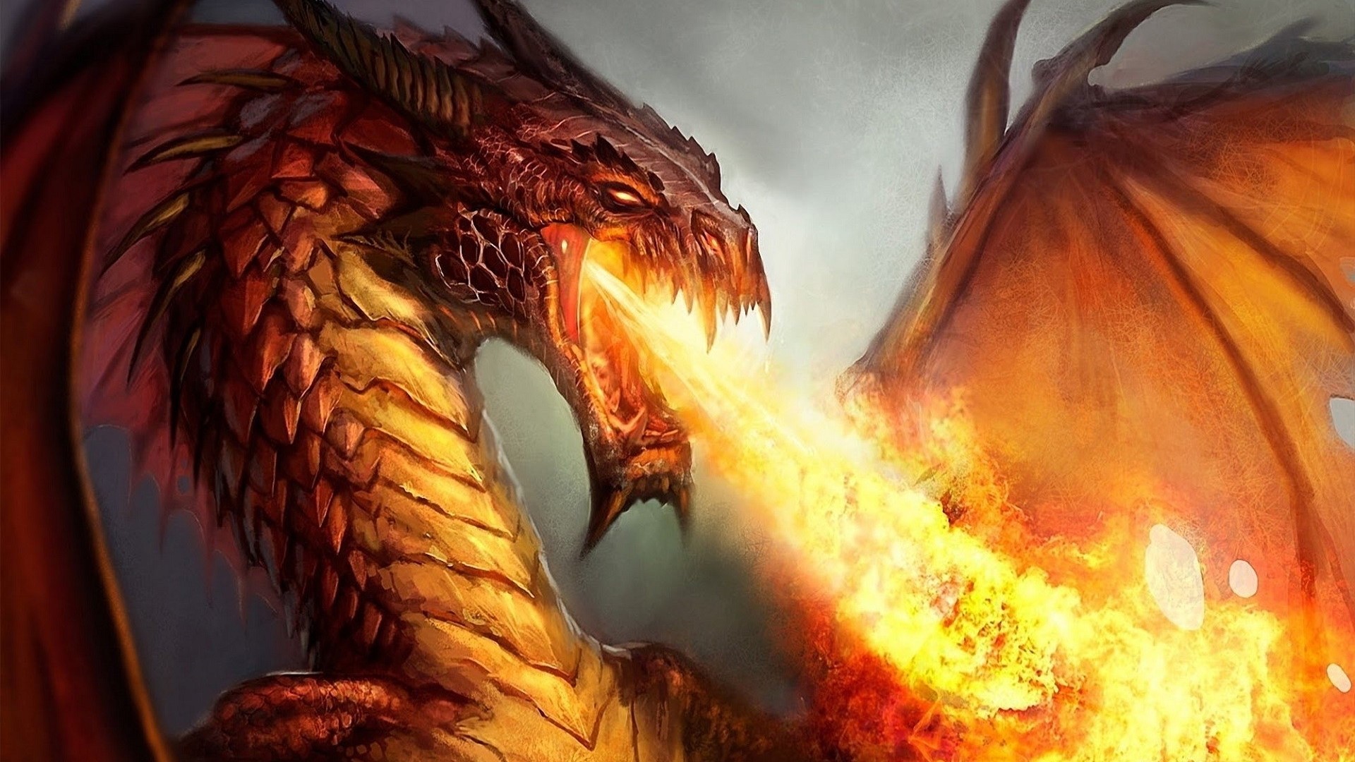 Dragon breathing fire HD Wallpaper