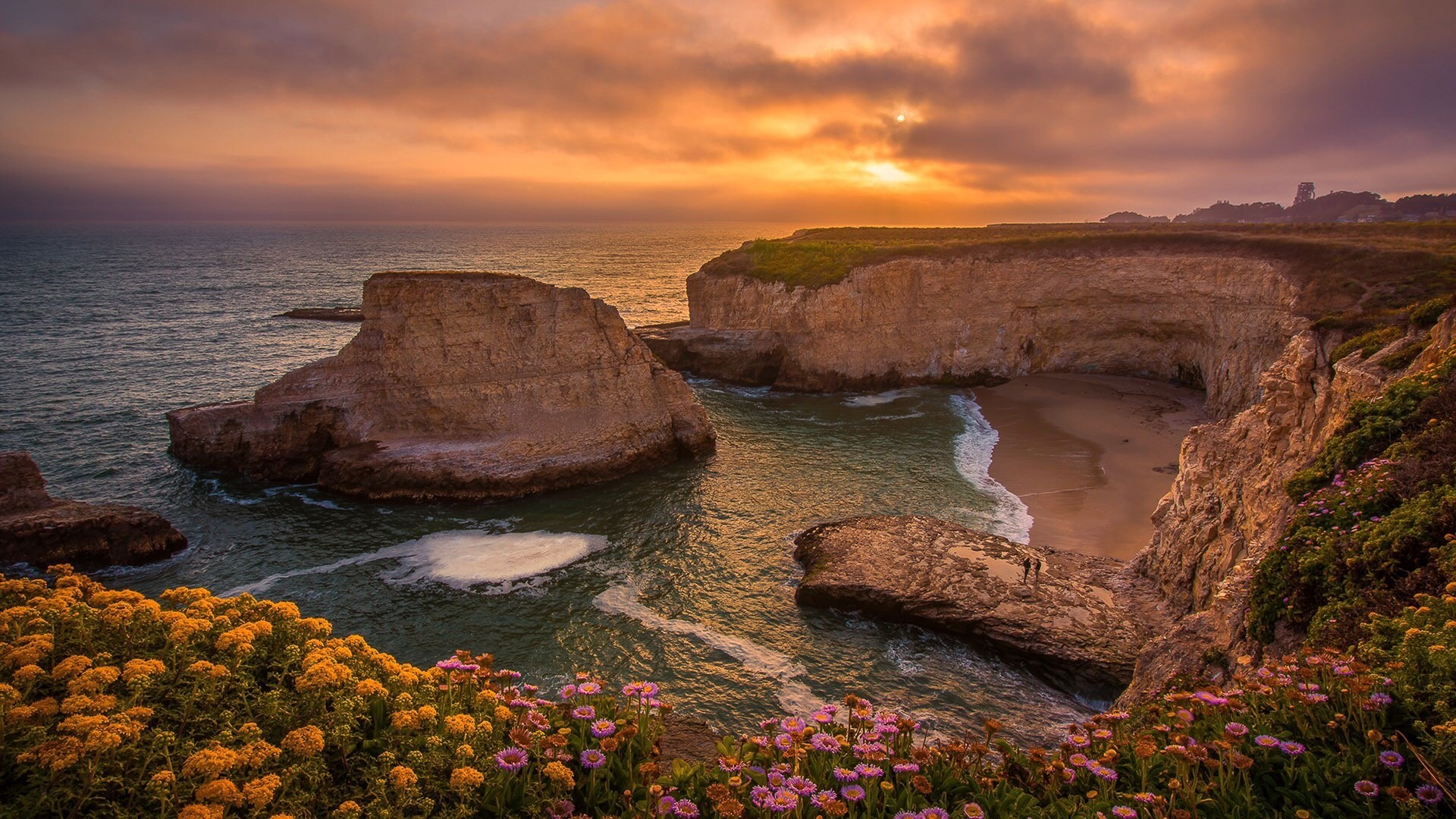 Sunset over Davenport cliffs and beach HD Wallpaper