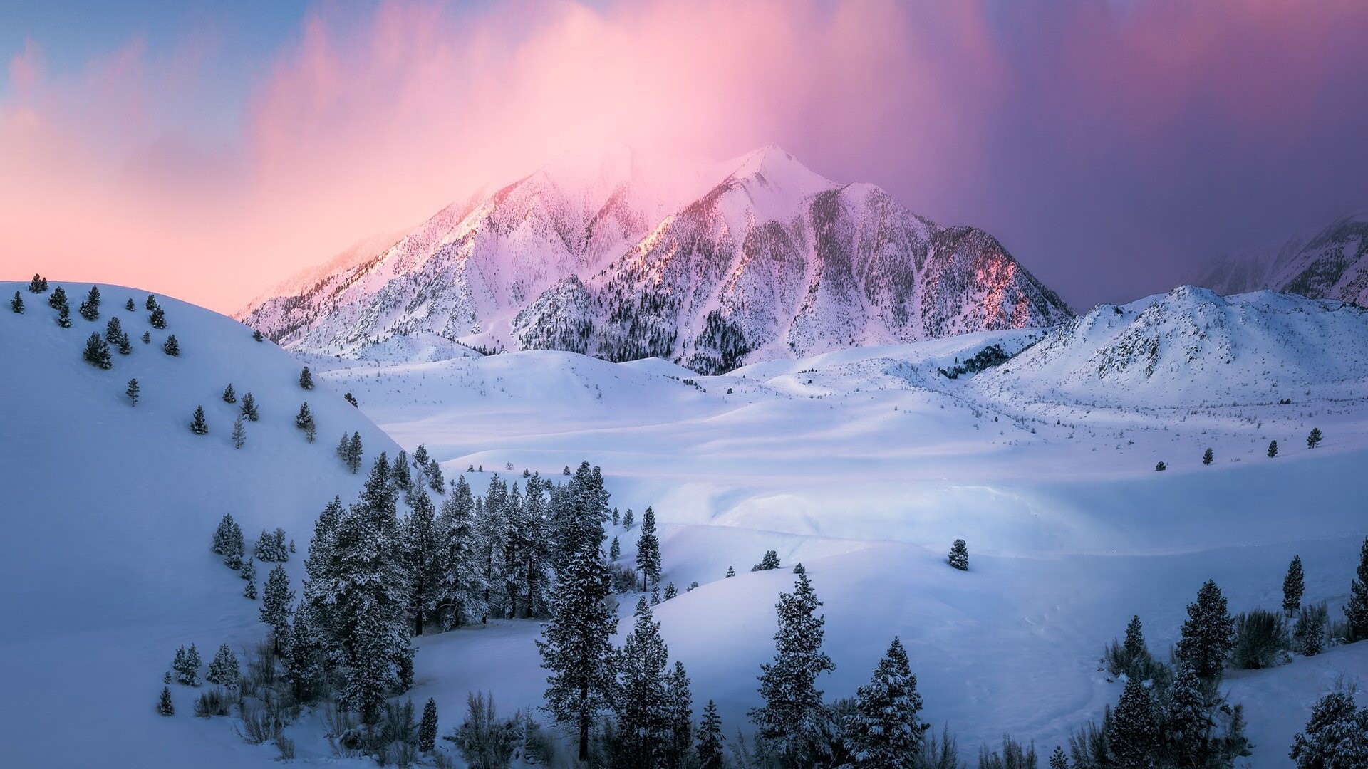 Snowy Mountains and Trees at Sunrise HD Wallpaper