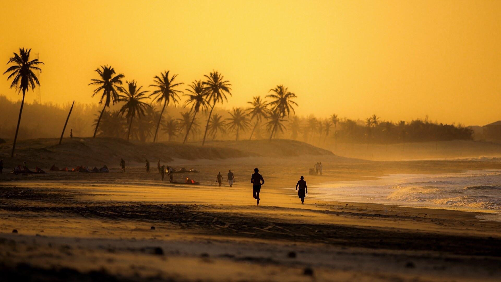 People running on Cumbuco beach at sunset HD Wallpaper