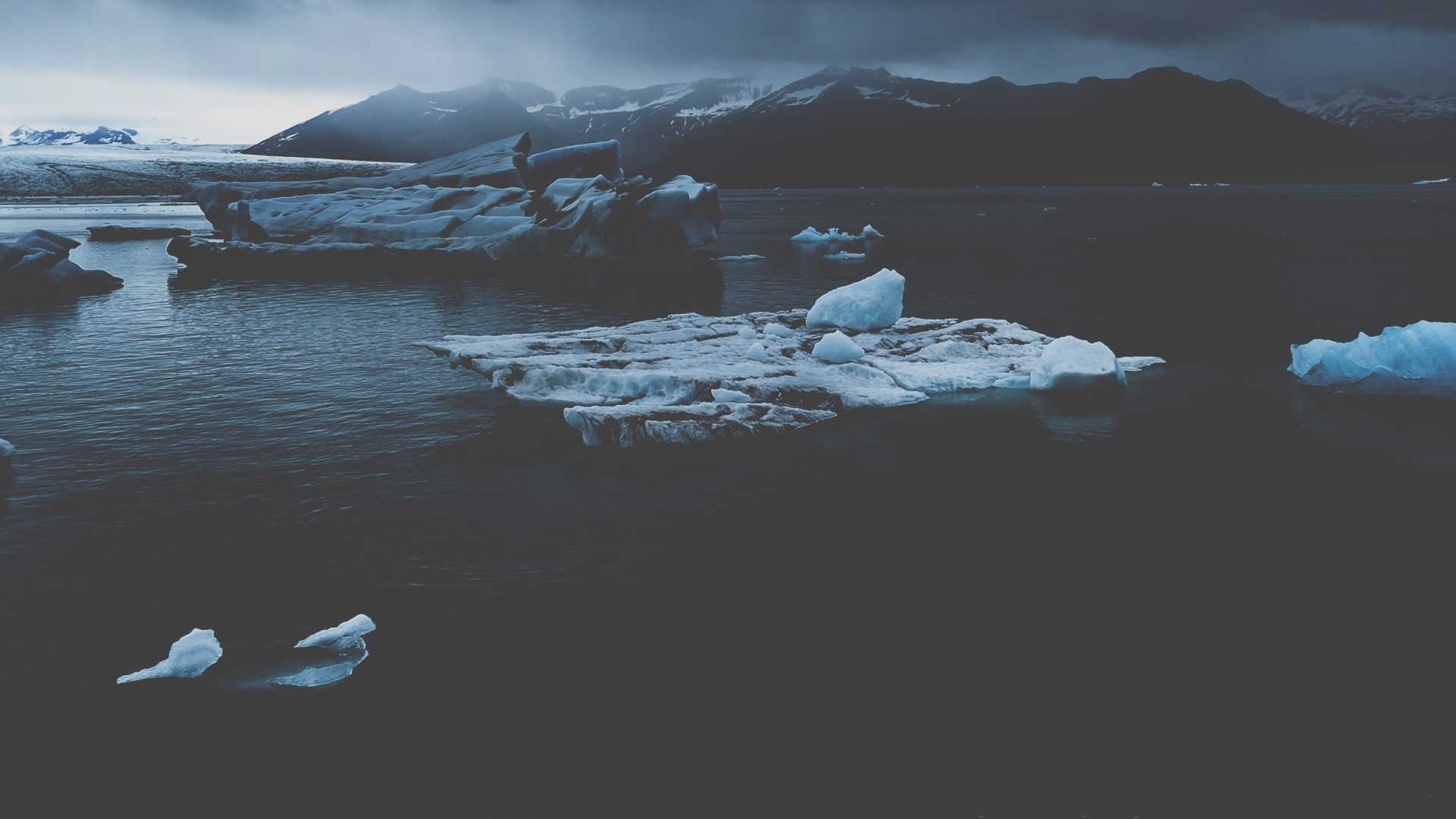Icebergs floating in dark water with mountains in background HD Wallpaper
