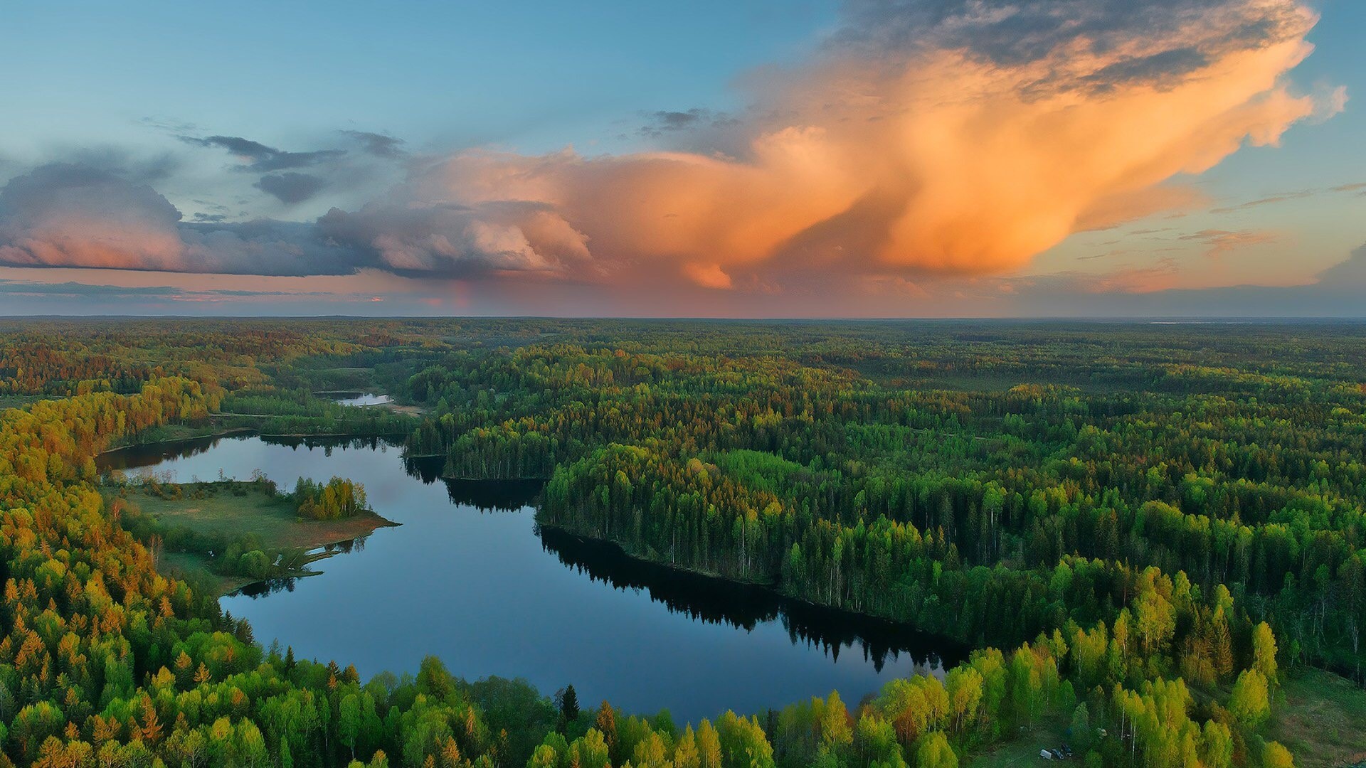 Aerial view of Gostilitskoye Lake and forest HD Wallpaper
