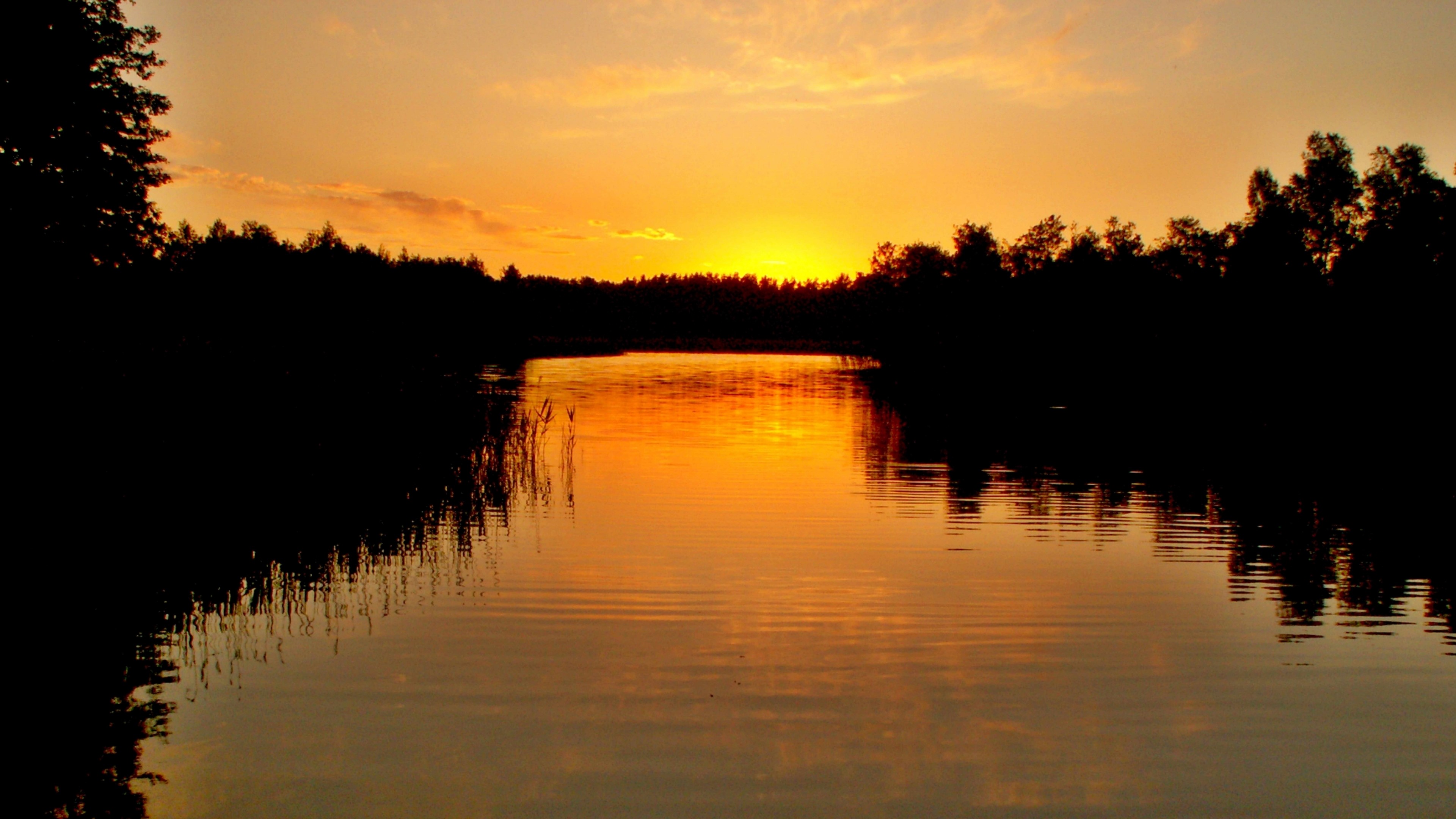 Sunset over a lake with trees HD Wallpaper
