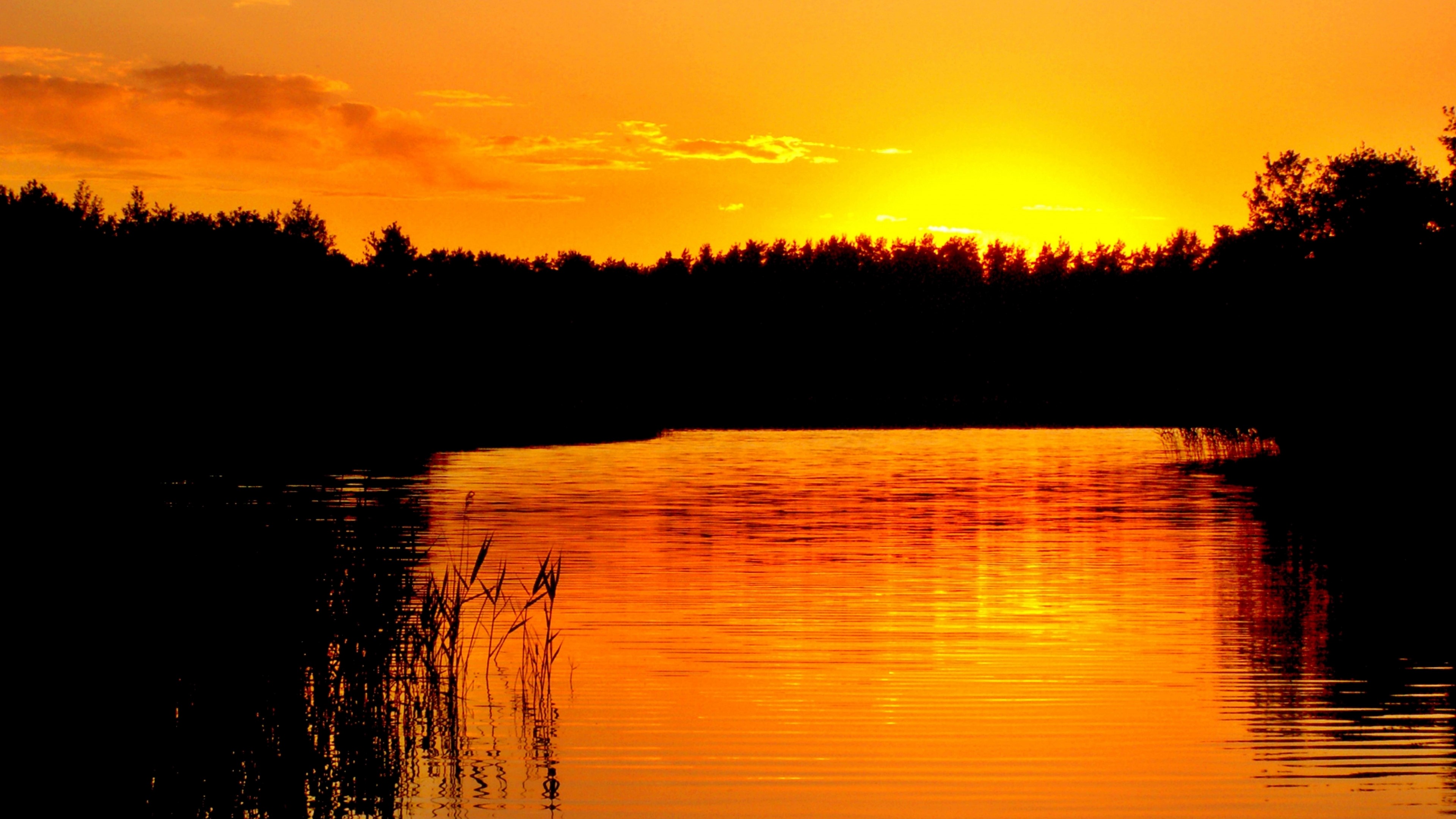 Sunset over a lake with forest silhouette HD Wallpaper
