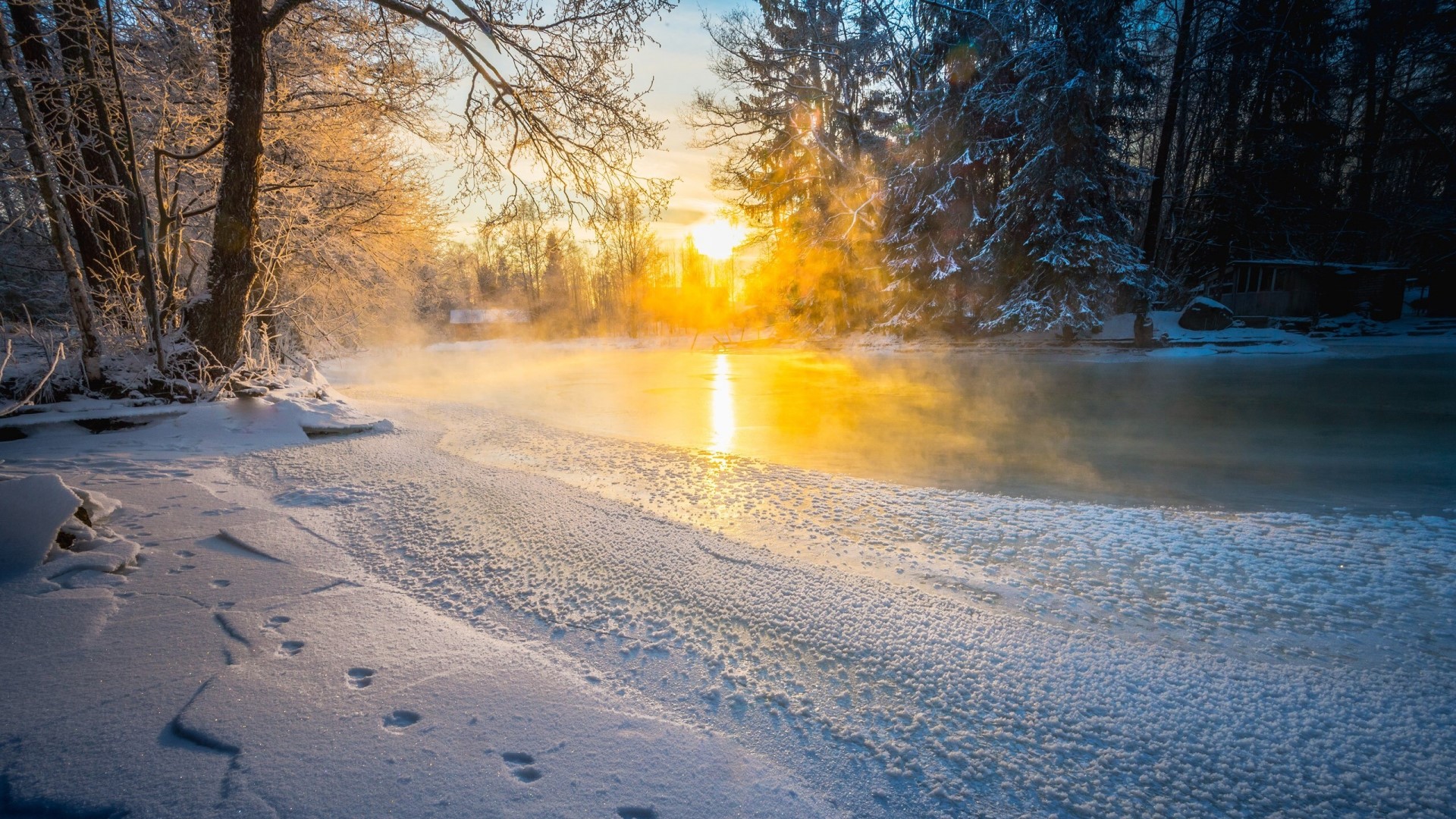 Winter sunrise over a steaming river in Langinkoski, Finland HD Wallpaper