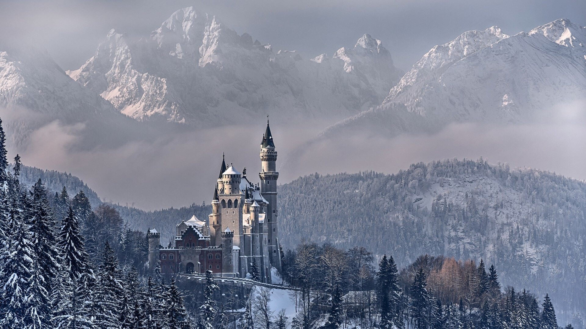 Neuschwanstein Castle in snowy mountains, Germany HD Wallpaper