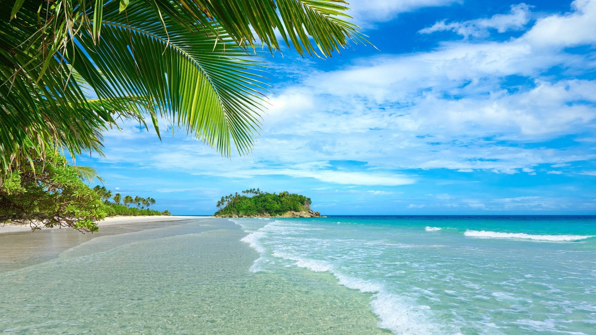 Tropical beach with palm trees and island HD Wallpaper