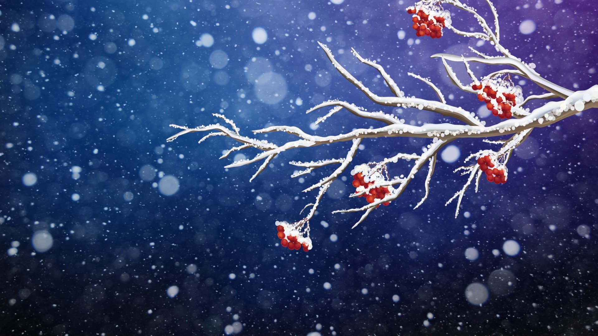 Snow on a branch with red berries HD Wallpaper