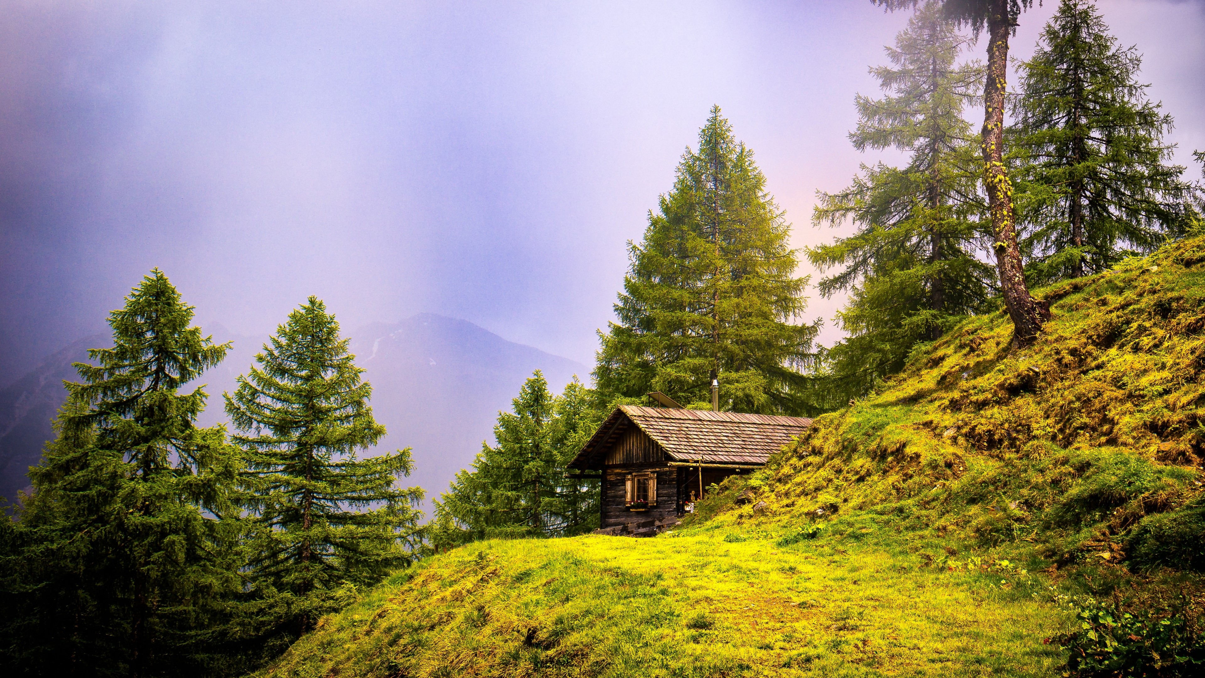 4K Alpine hut in a forest HD Wallpaper