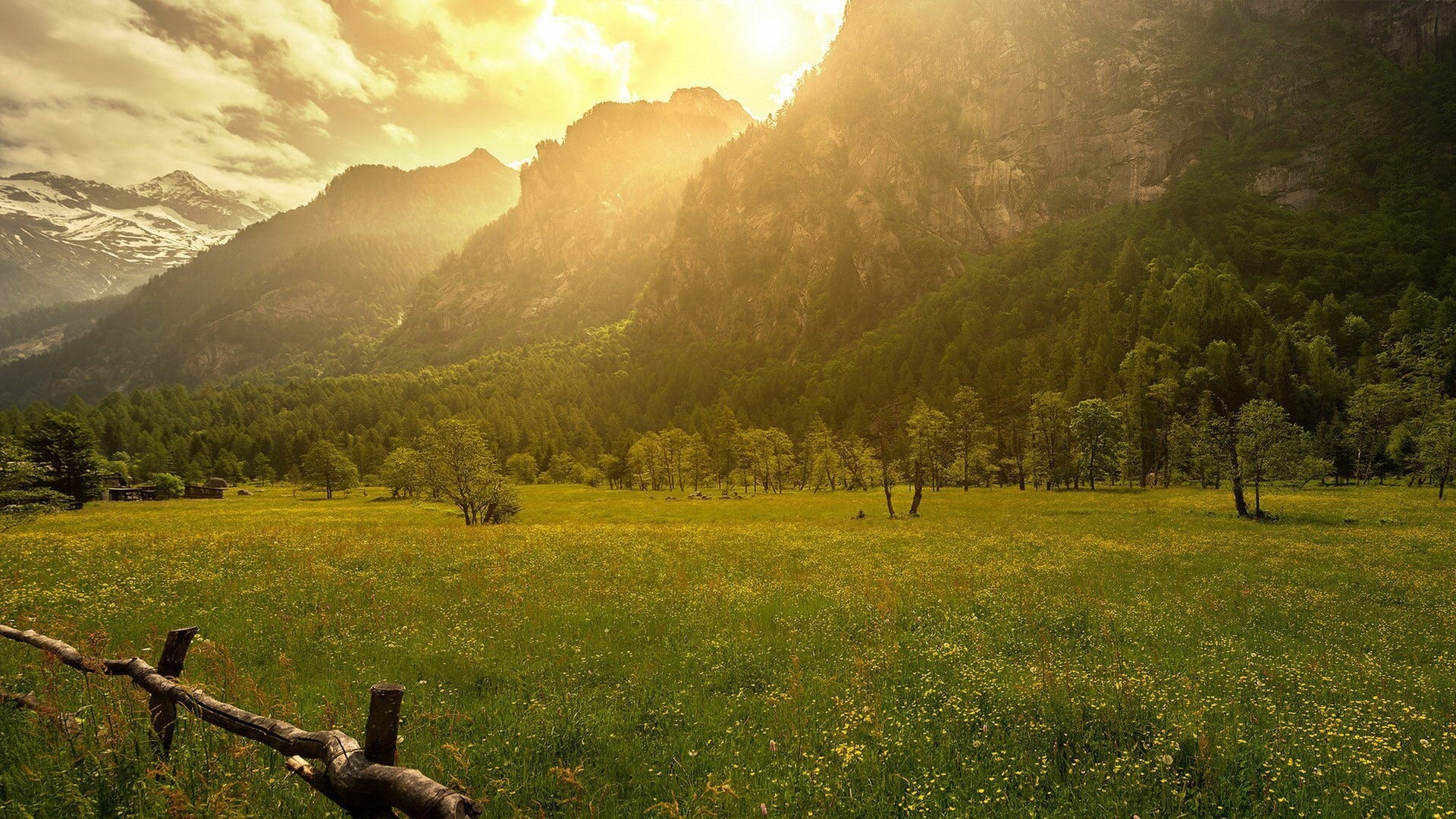 Meadow with mountains and forest in Italy HD Wallpaper