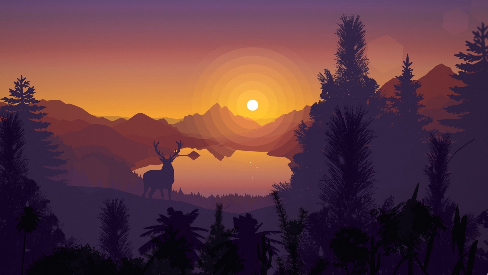 Deer by a lake at sunset HD Wallpaper