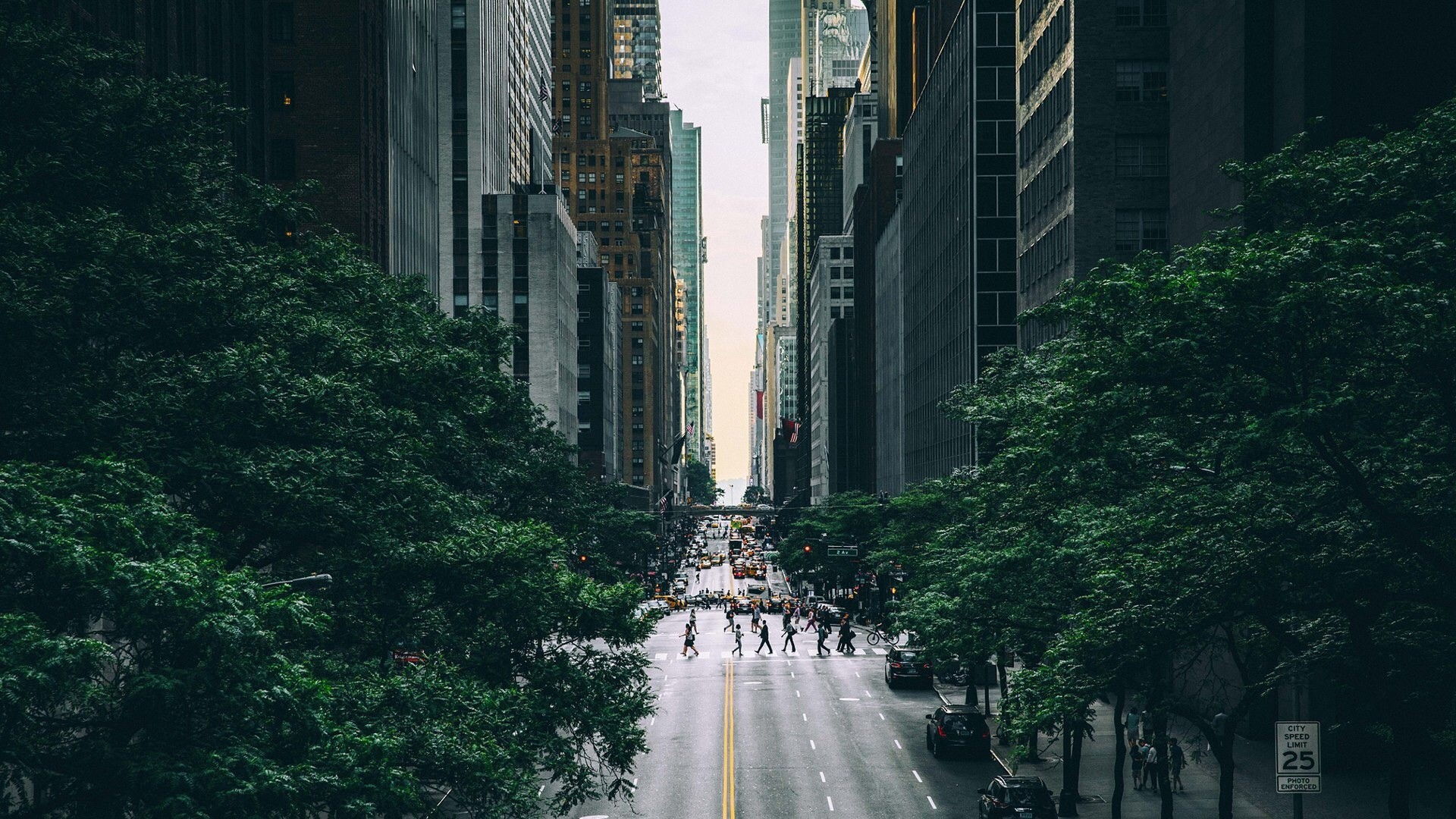 New York City street with trees and pedestrians HD Wallpaper
