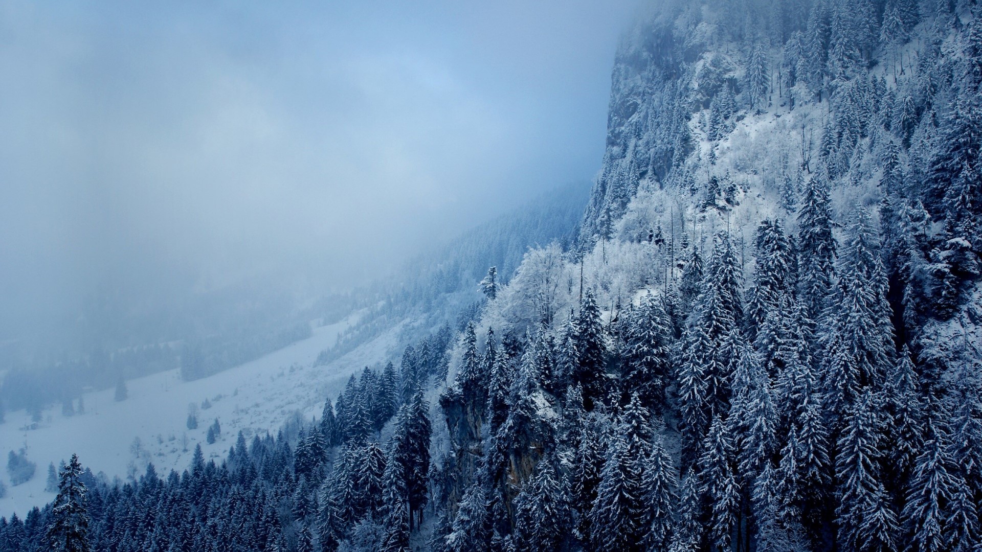 Snow-covered Alps mountains with pine trees HD Wallpaper