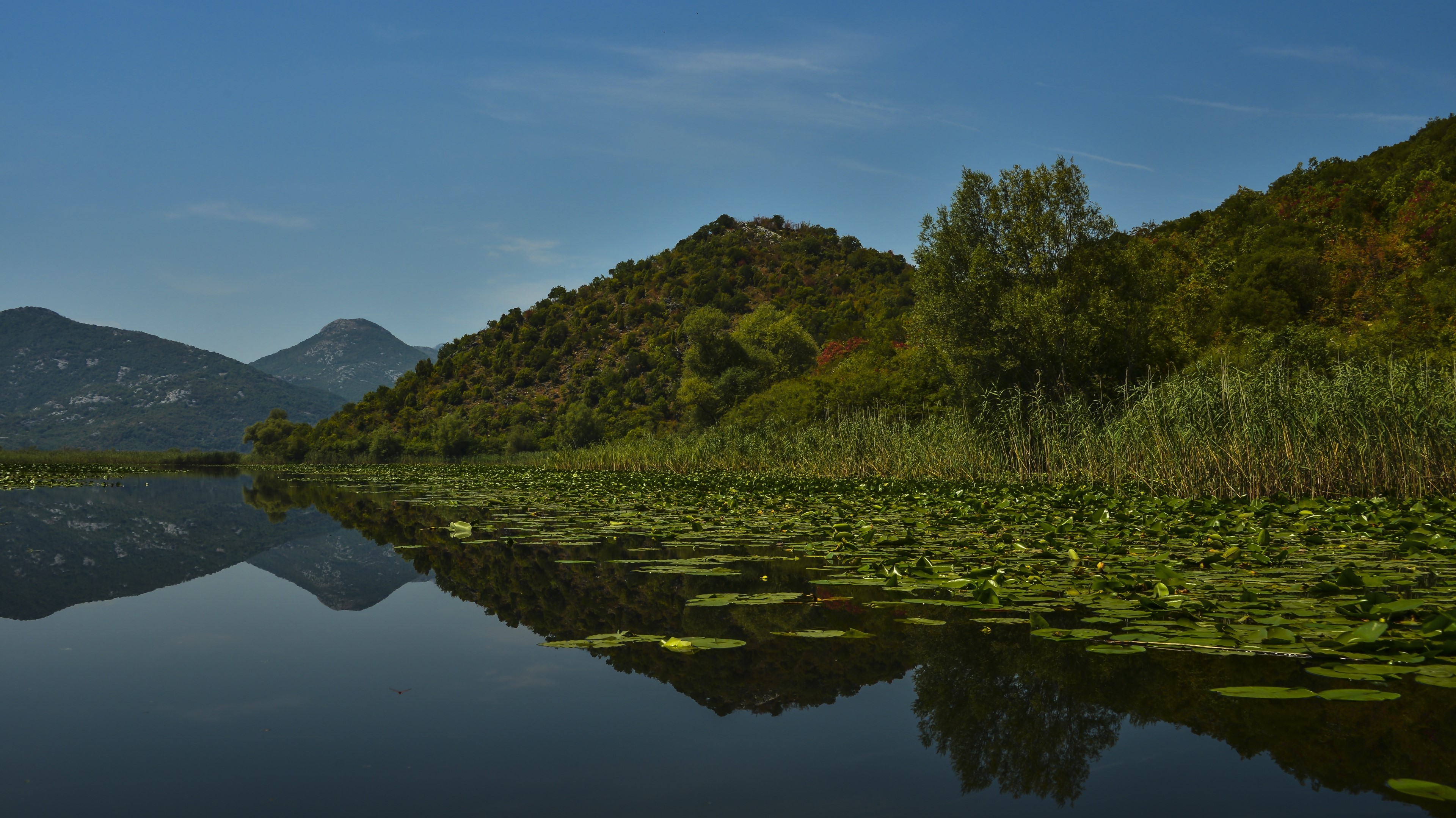 4K Lake with Mountains and Lily Pads HD Wallpaper