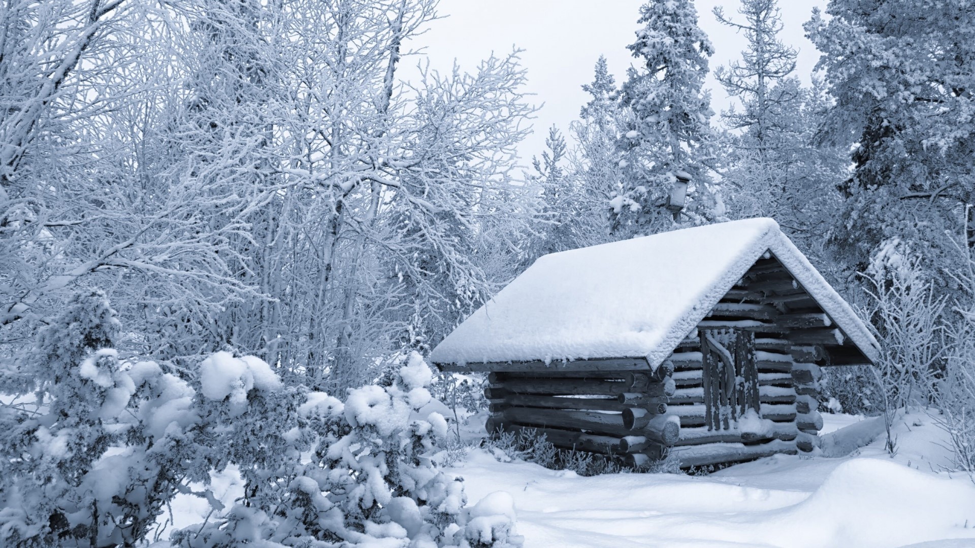 Snowy log cabin in a winter forest HD Wallpaper